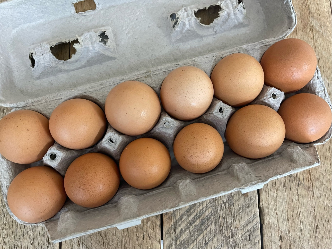 DELIVERY Farm Fresh Eggs by the dozen