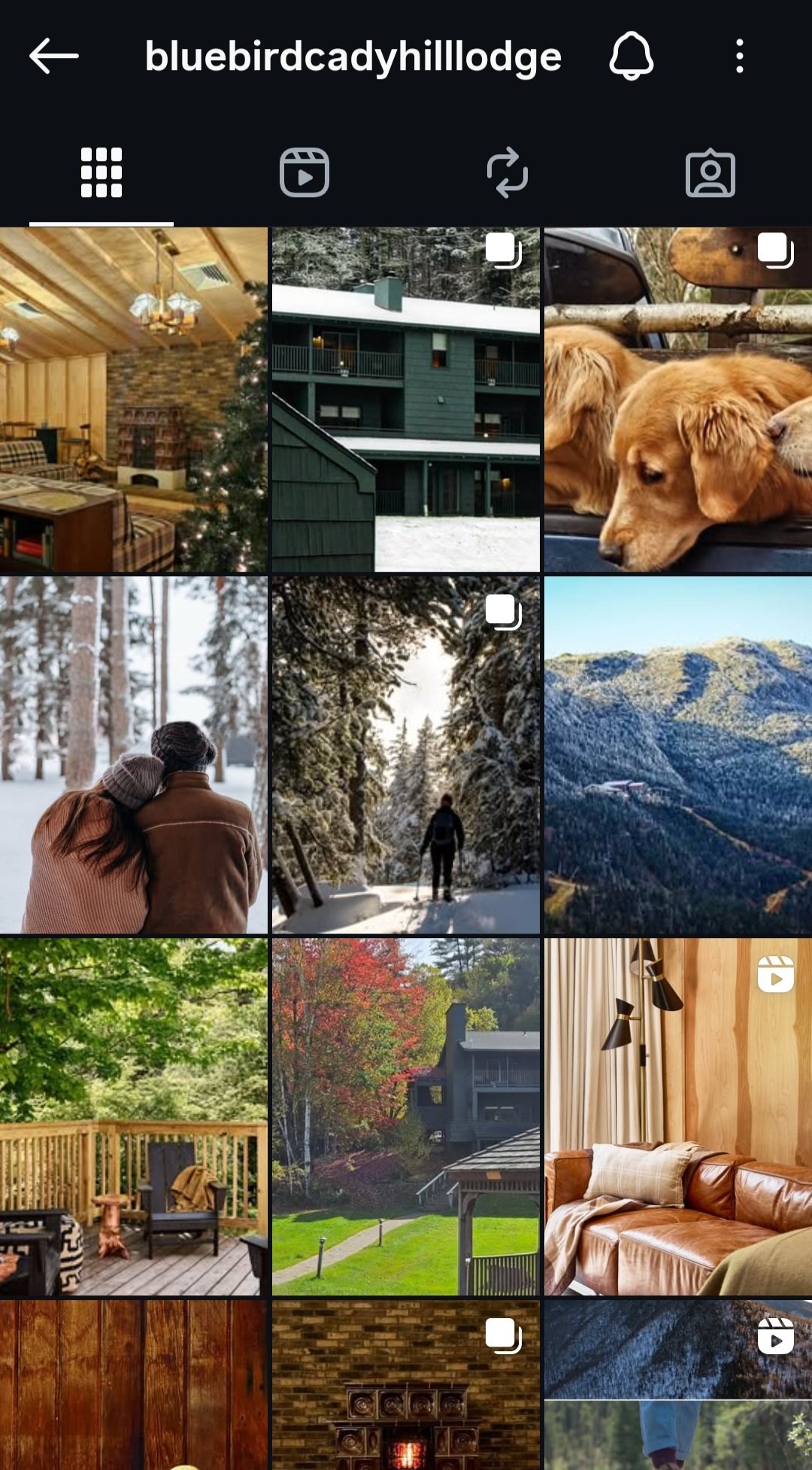 An image of an Instagram gallery of posts