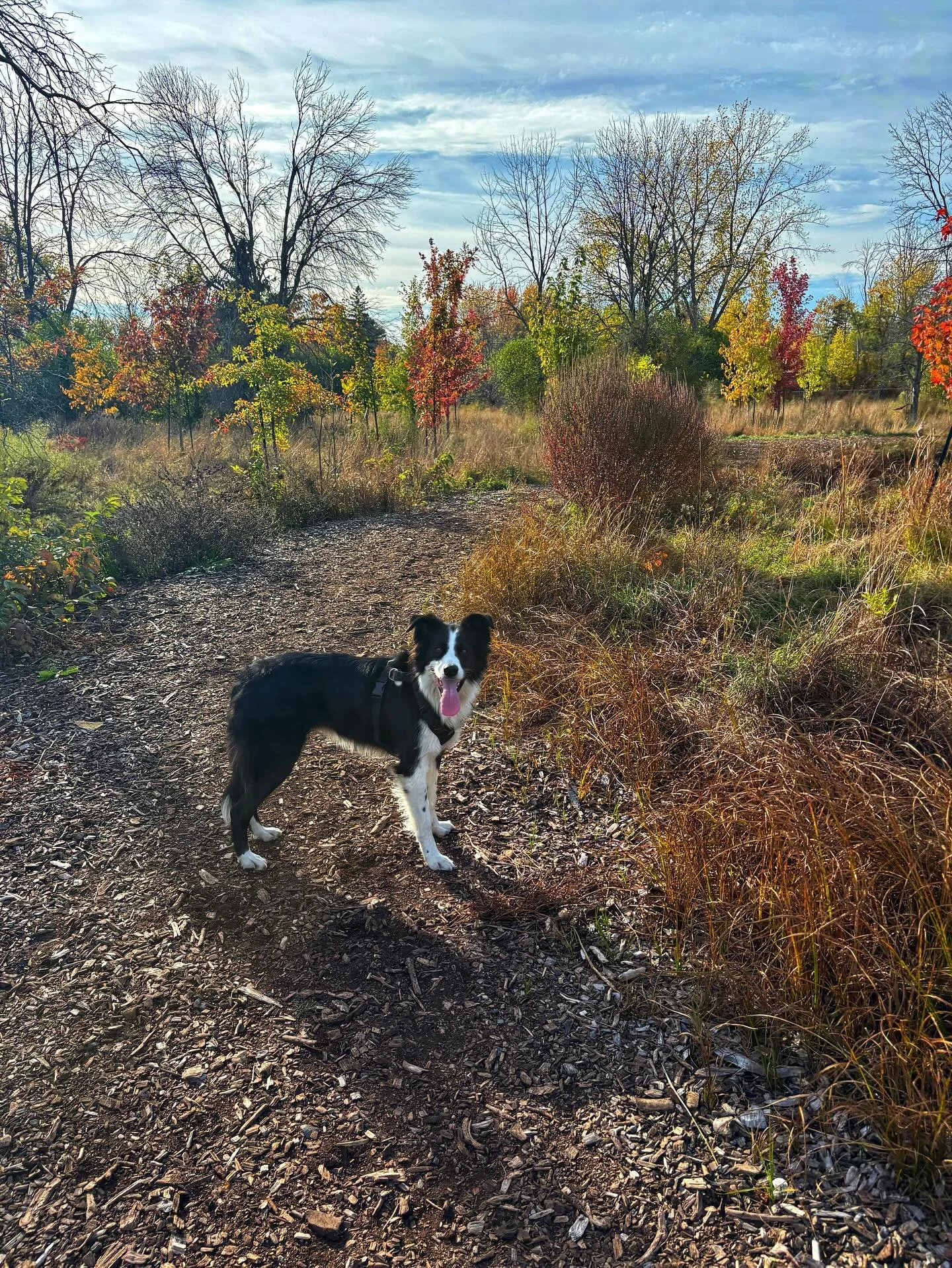 Prends une belle promenade chaque jour avec une belle fille.