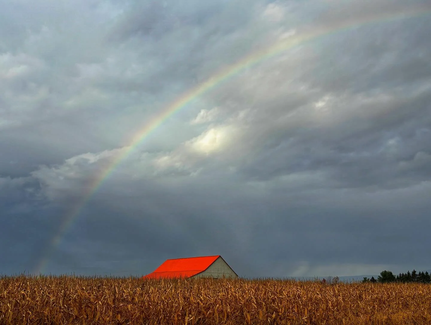 L'arc-en-ciel vous souhaite une bonne journ&eacute;e