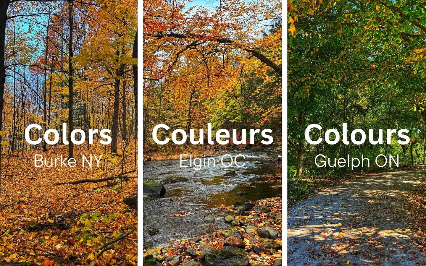 Spelling tips based on location. Glad to help.