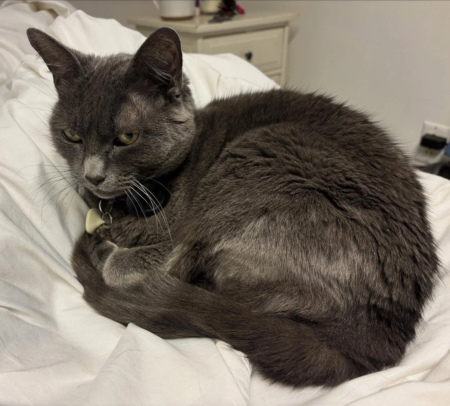 You don't have to smile at me to be beautiful. See how my third daughter does it while plotting my demise.