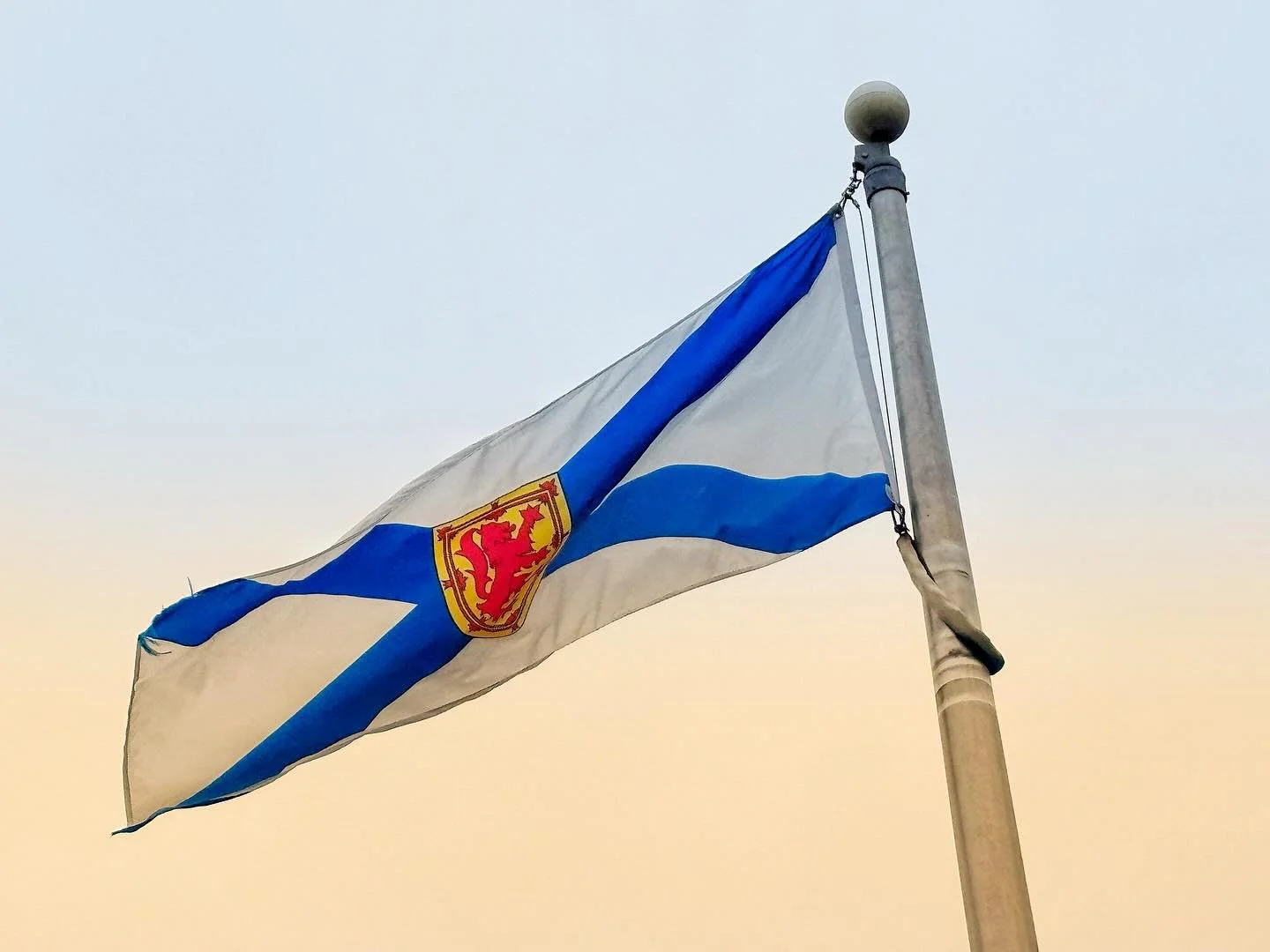 I travel all over Canada all the time from my work, and Nova Scotia is the only province that comes even close to Qu&eacute;bec in how many people will have the provincial flag up and flying (besides government offices). I think it requires the confl