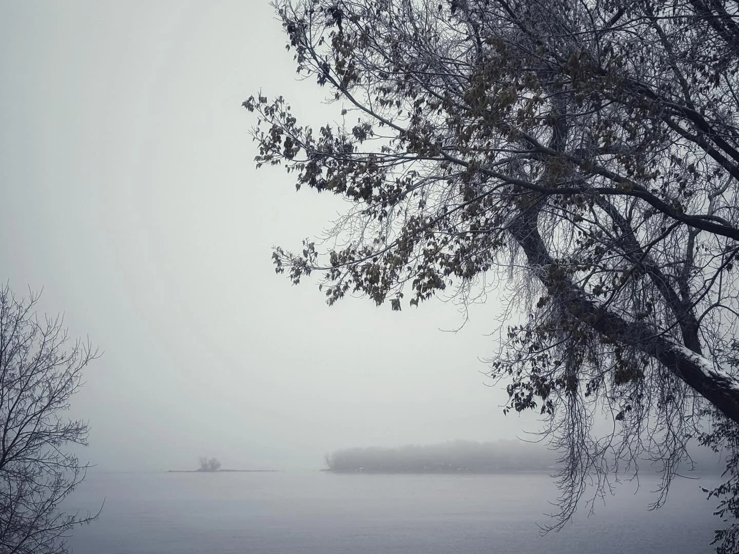 Le fleuve St-Laurent ce matin