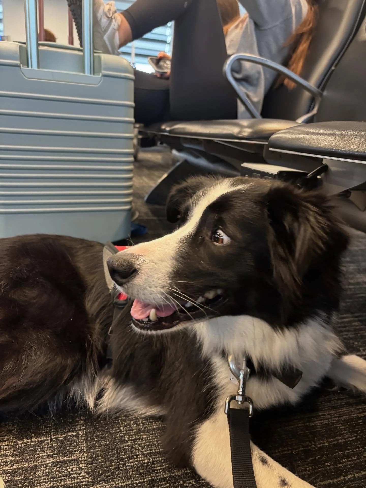 What is this silly bean thinking?