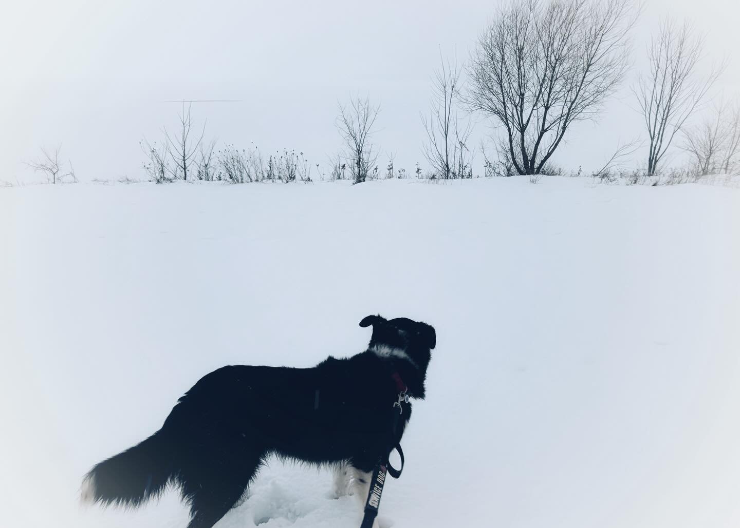 Some days you are the kind of weather that make you ask if colour photography was even a necessary invention