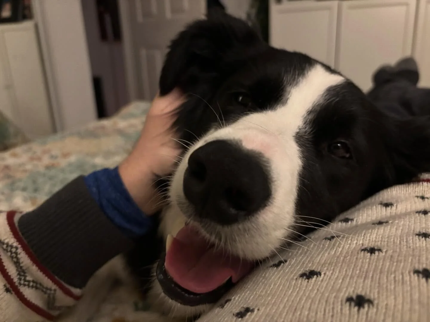 Am I going to a party? Out to a club? On a date?

No. 

But look how loved I am by someone beautiful.