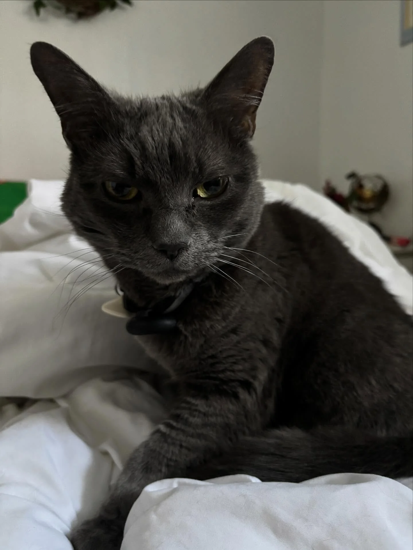 No matter how I try, giving her nothing but food and attention, I have one tween daughter who won't talk to me and usually looks mad.