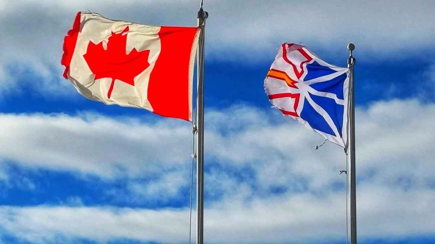 Newfoundland is beautiful in winter, too