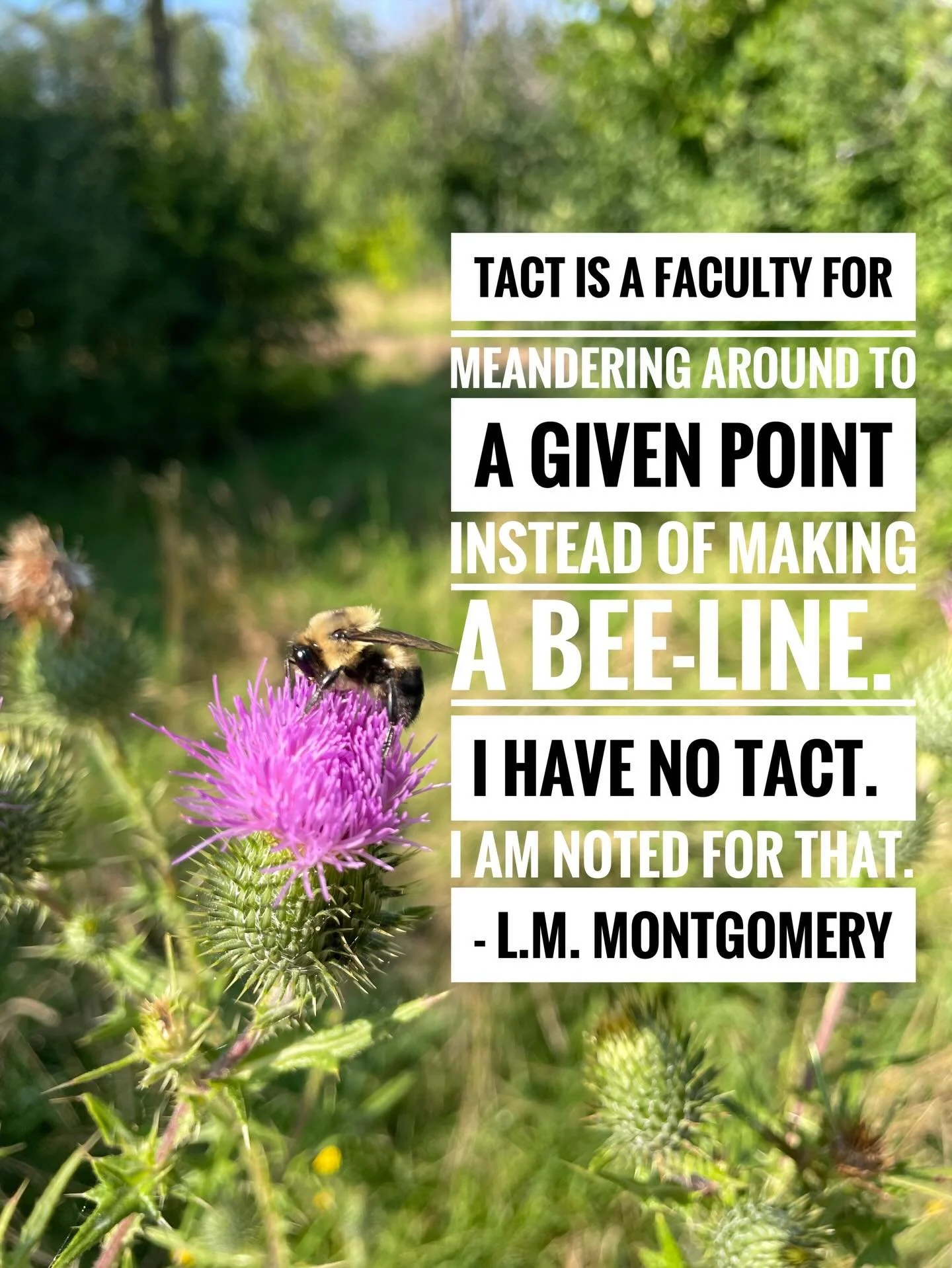 Tact is a faculty for meandering around to a given point instead of making a bee-line. I have no tact. I am noted for that. - L.M. Montgomery