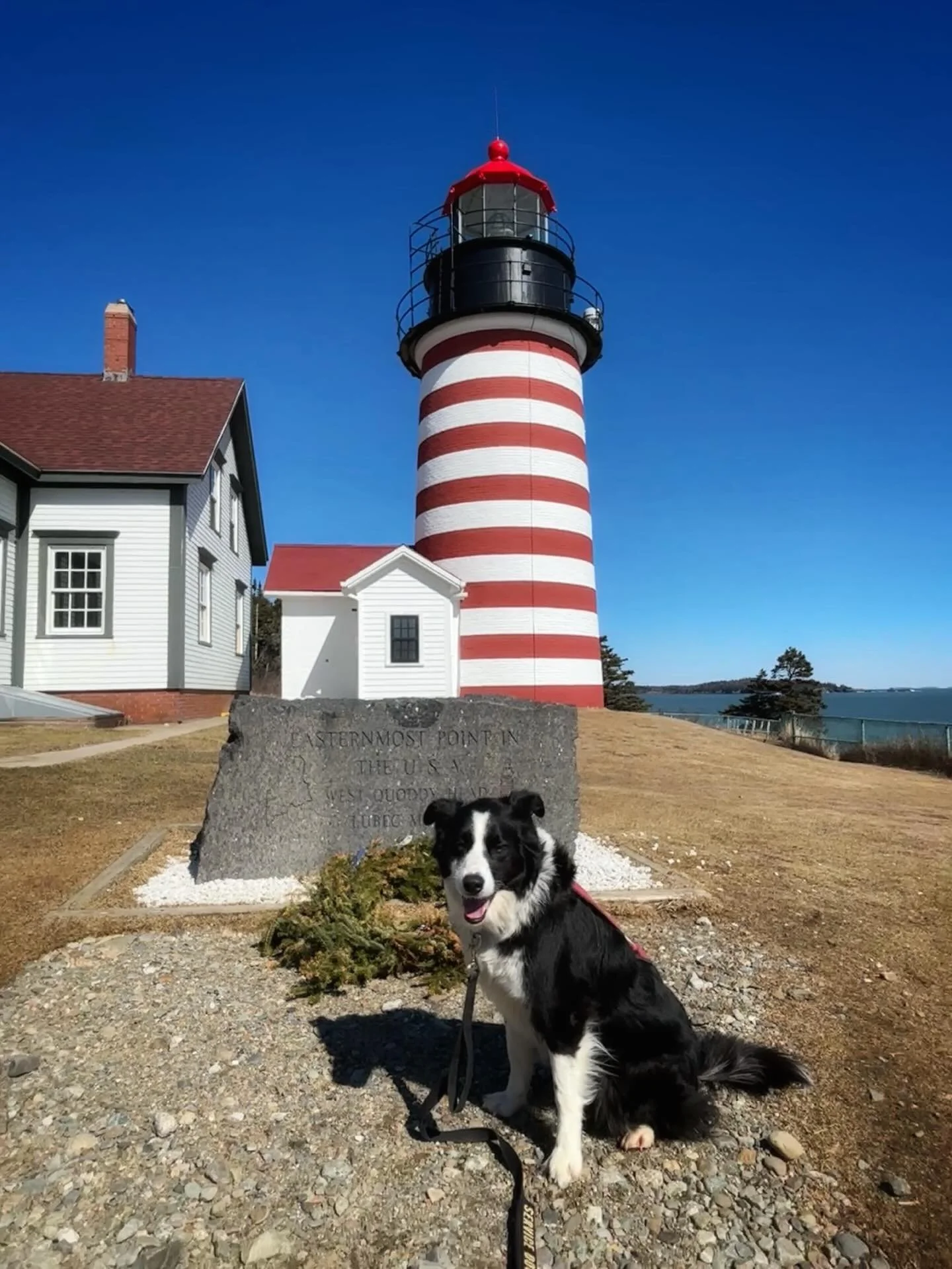 For a brief moment this morning all American dogs were west of my dog. When it comes to lighthouses on the edge of countries, she's a very well-travelled dog.