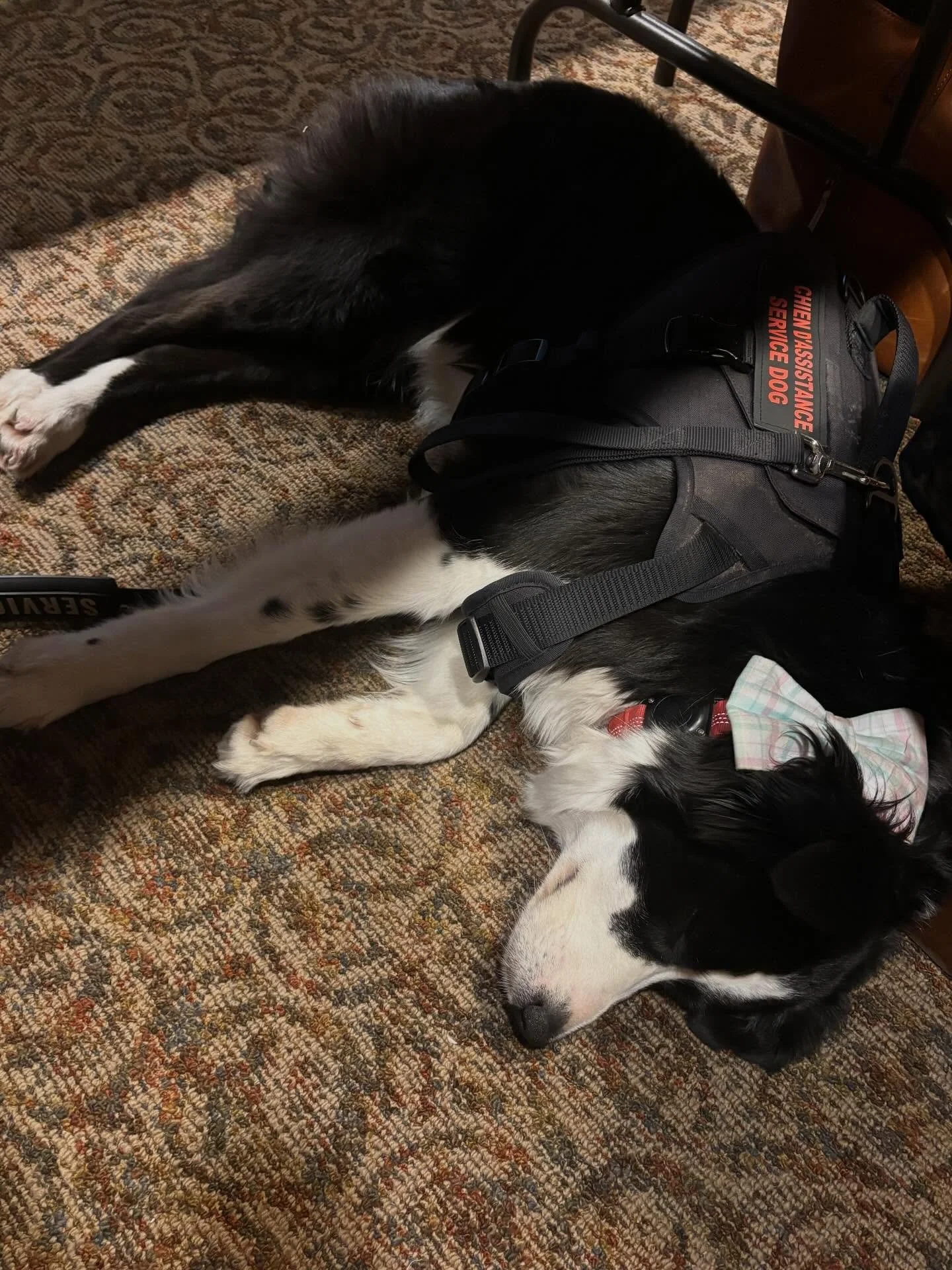 The best looking but least attentive attendee of the general board of the Christian Church (Disciples of Christ) in the United States and Canada.