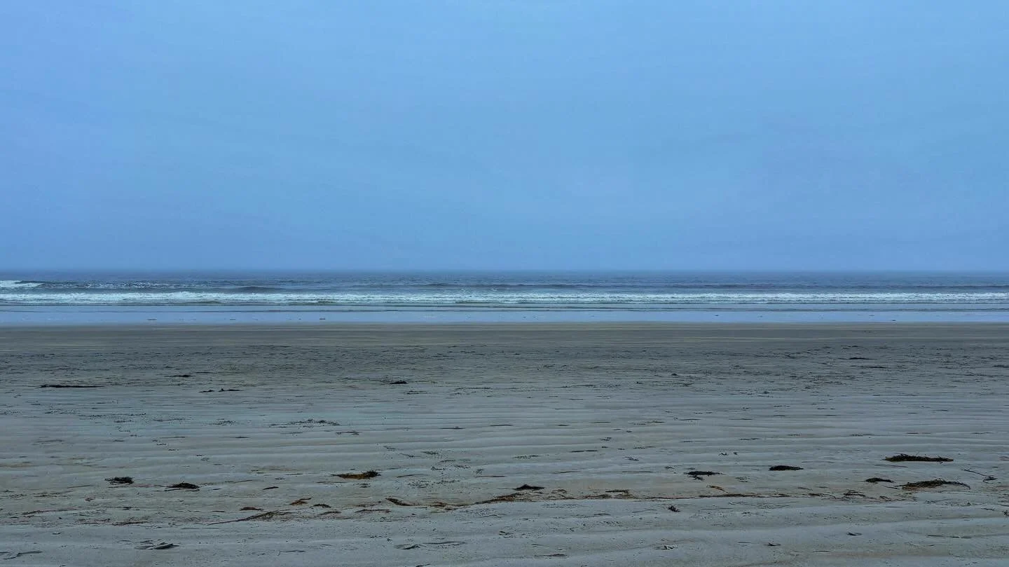 The perfect beach weather isn't necessarily hot and sunny, but whatever weather is just chilly or foggy enough that nobody else is there. (I might be more of an introvert than a sunbather...)