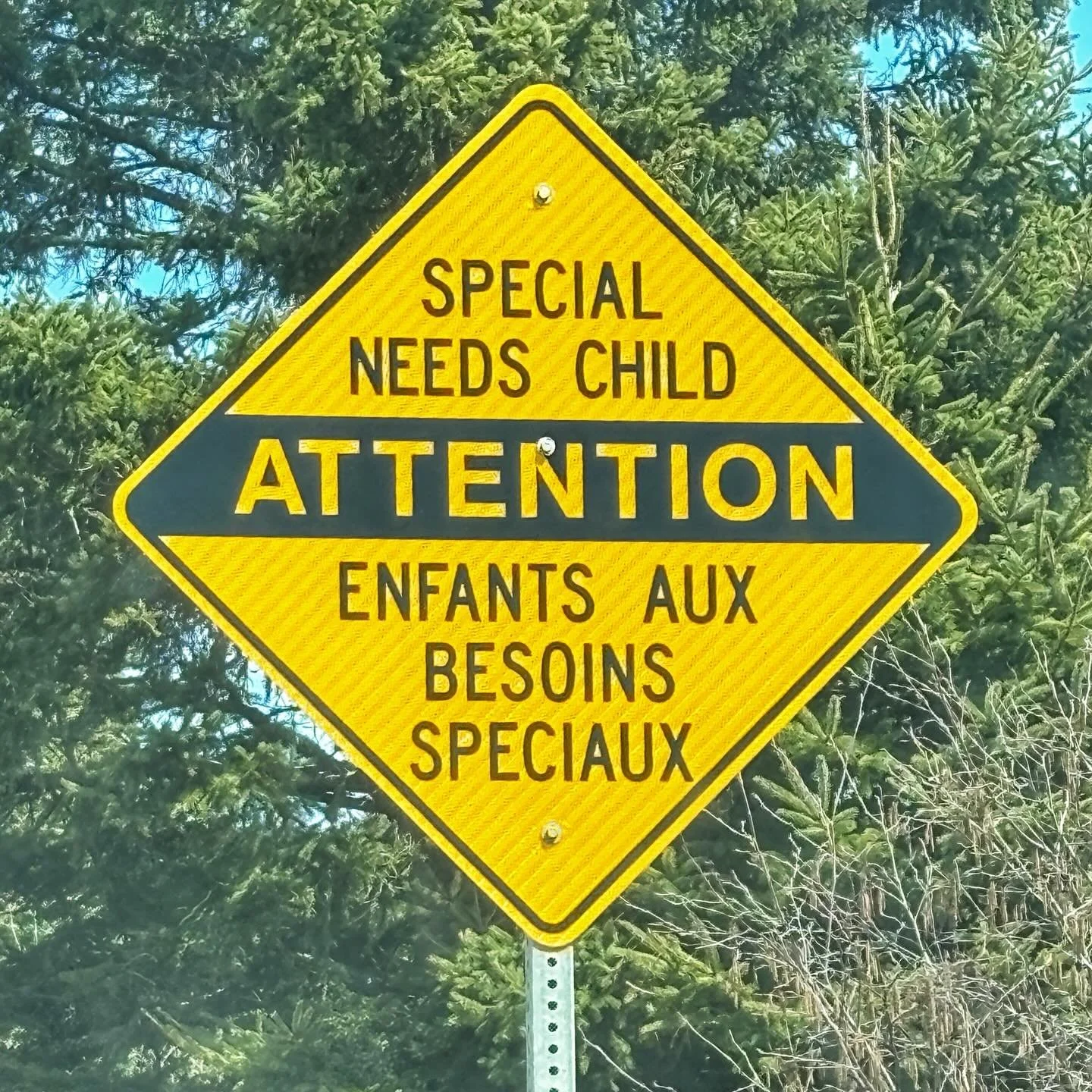 Why does Prince Edward Island want the Francophone drivers to watch out for more kids than the Anglophones?