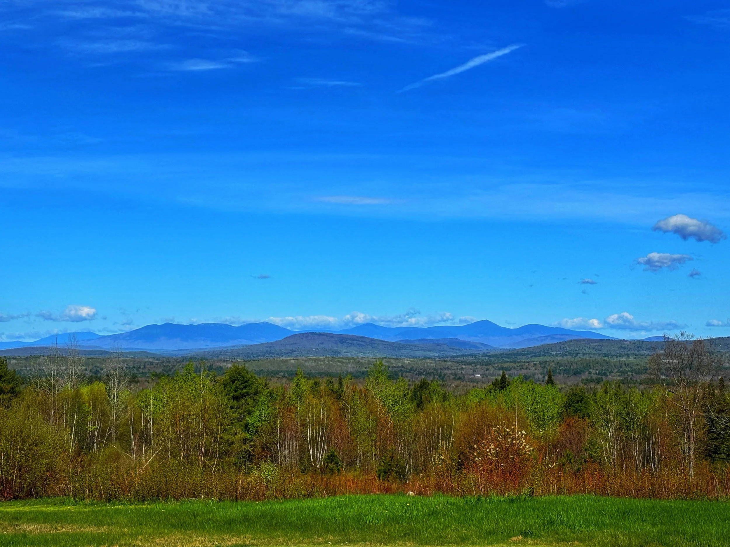 Maine has a slogan claiming it is "The way life should be," and I am going to be real with you: they make some compelling arguments.
