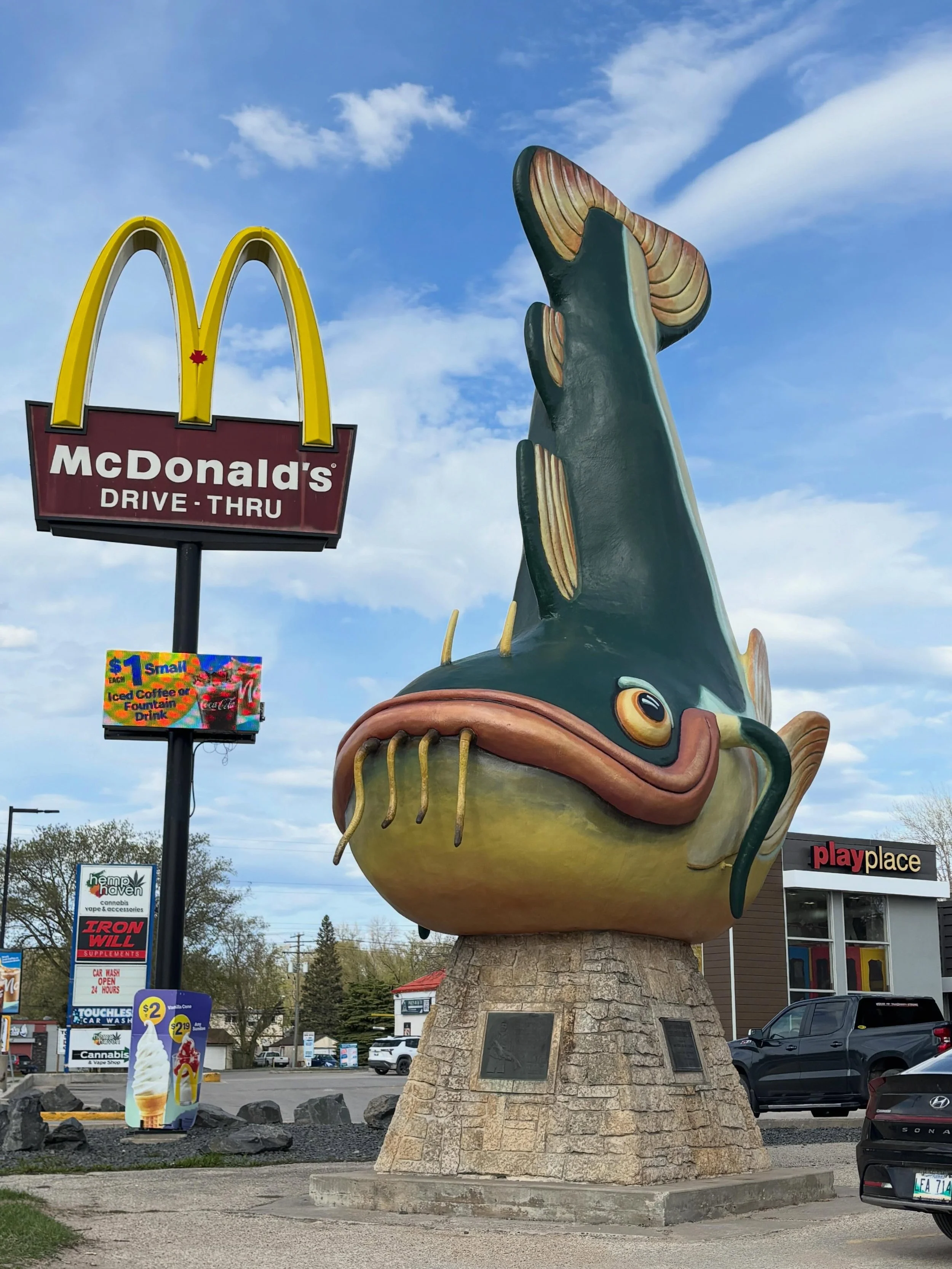 This is Chuck, the giant channel catfish. He is in Selkirk, Manitoba.