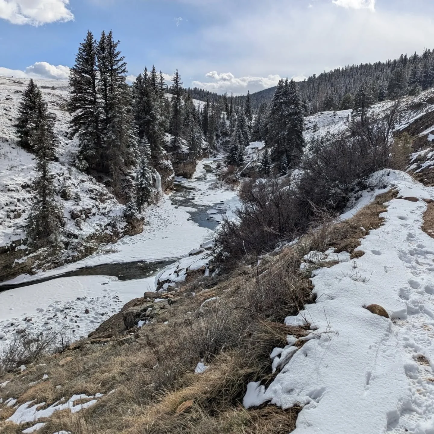 Lucy and I had this canyon to ourselves. Fresh snow from yesterday and just one set of footsteps before ours. I think our kangaroo-dog is happy. ❄️ 🐾 Shhh... she's sleeping.