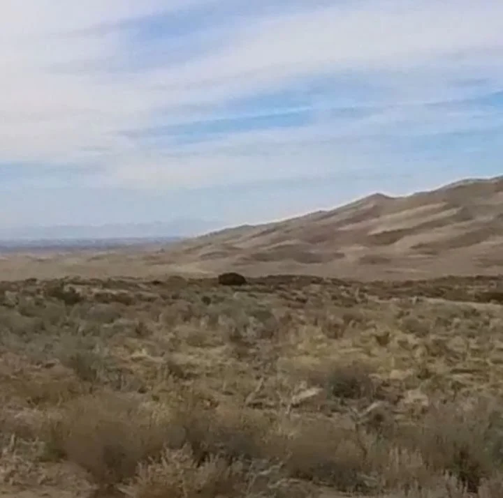 Sand, rocks, and ice. Shew! We met up with Carlos at Great Sand Dunes National Park for sandboarding and sledding, then went to see Zapata Falls. If you need a day of laughs, do this.