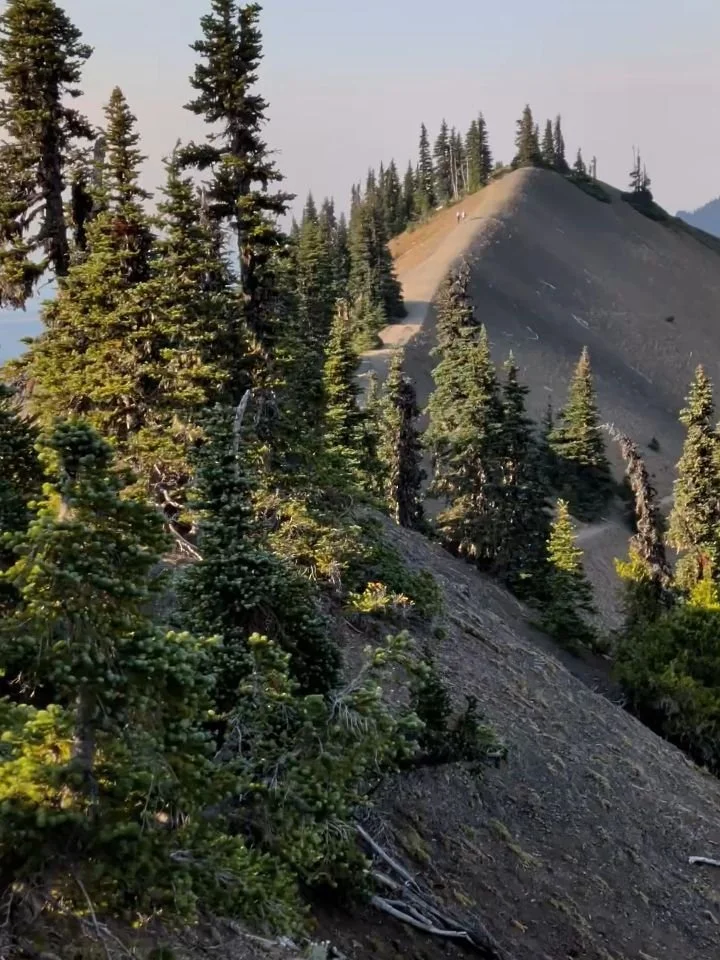 We're at our last stop on the Olympic Peninsula, the northeast. We loved seeing the rainforest and beaches but boy, we were happy to be back on top of a mountain. And the ski lifts at the top of Hurricane Ridge had us daydreaming about our favorite s