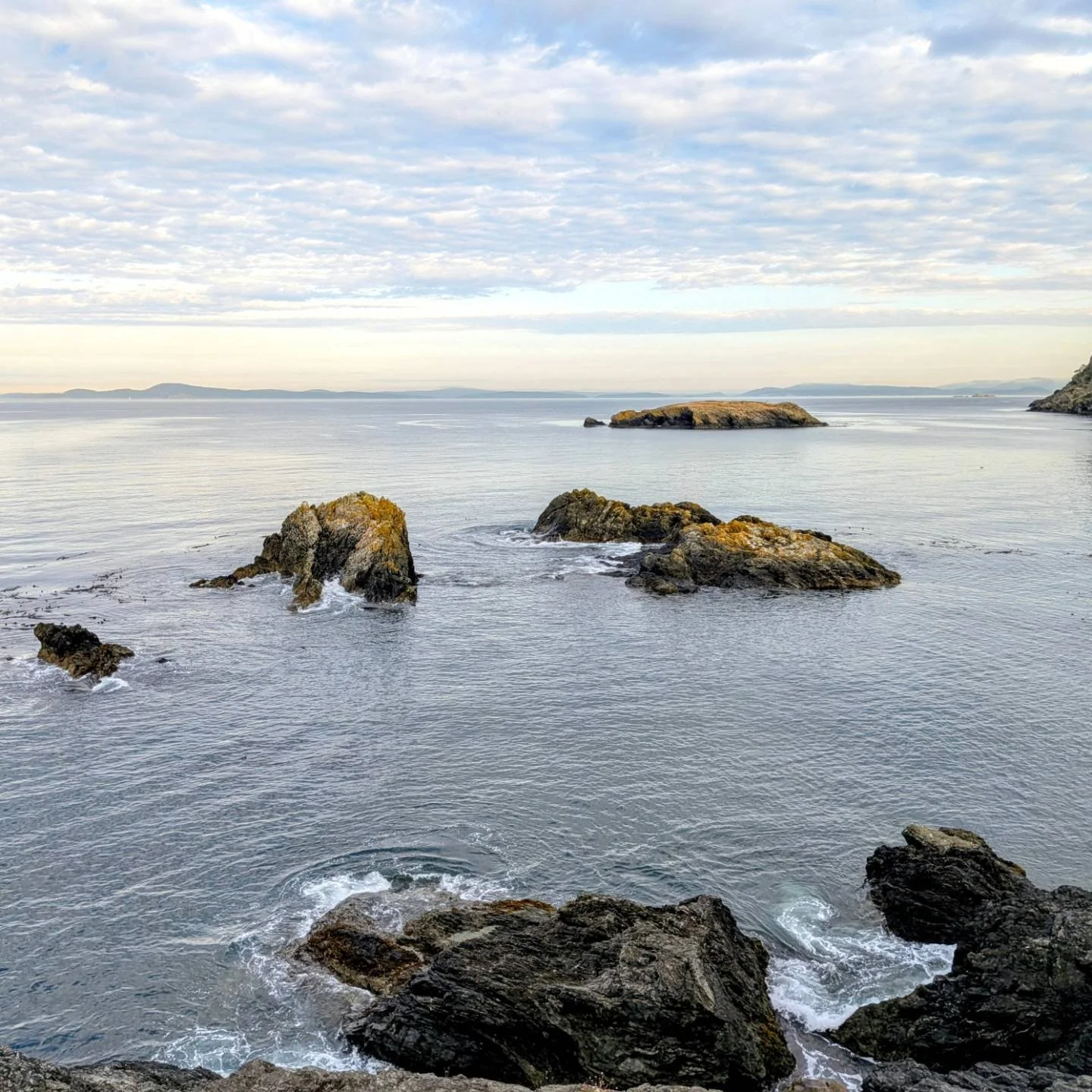 🌊 Were we ready to leave the ocean? No.
🏔️ Were we ready to get back to the mountains? Yes.