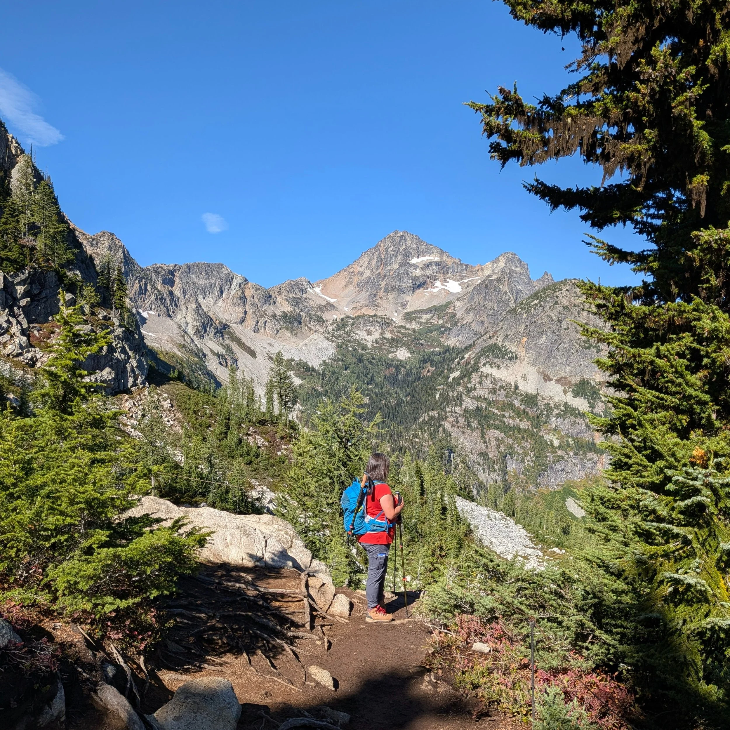 A scenic hike just outside of North Cascades National Park. Three alpine lakes, countless mountains, and snow! The smiles were at the top. The next smile was when our legs were at rest in the truck.

Today's view is what we see from the recliners. &l