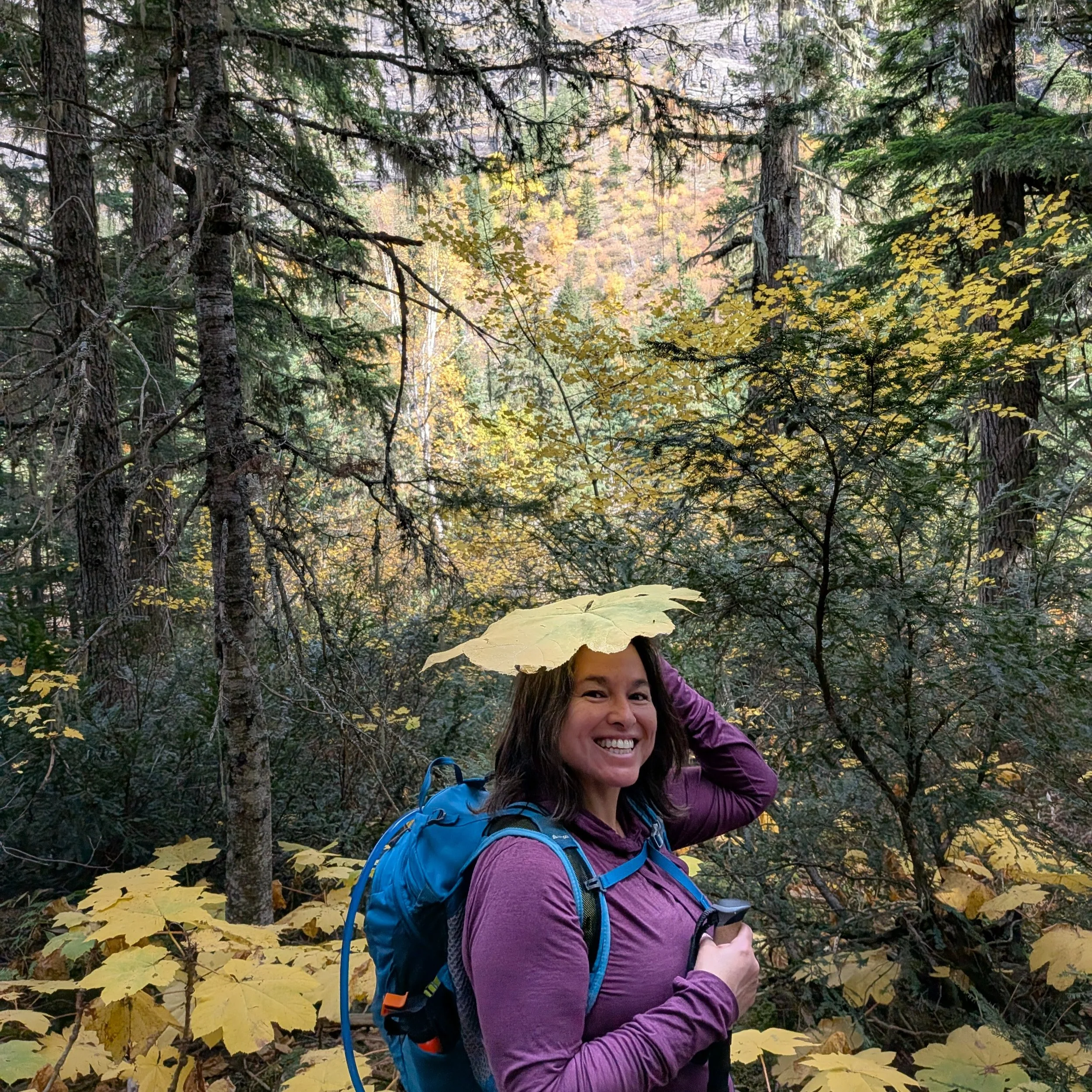 Glacier National Park in the fall. 💛💚🩵 We finally hiked Avalanche Lake. We see why it's so popular. Perfect fall temps and views today.