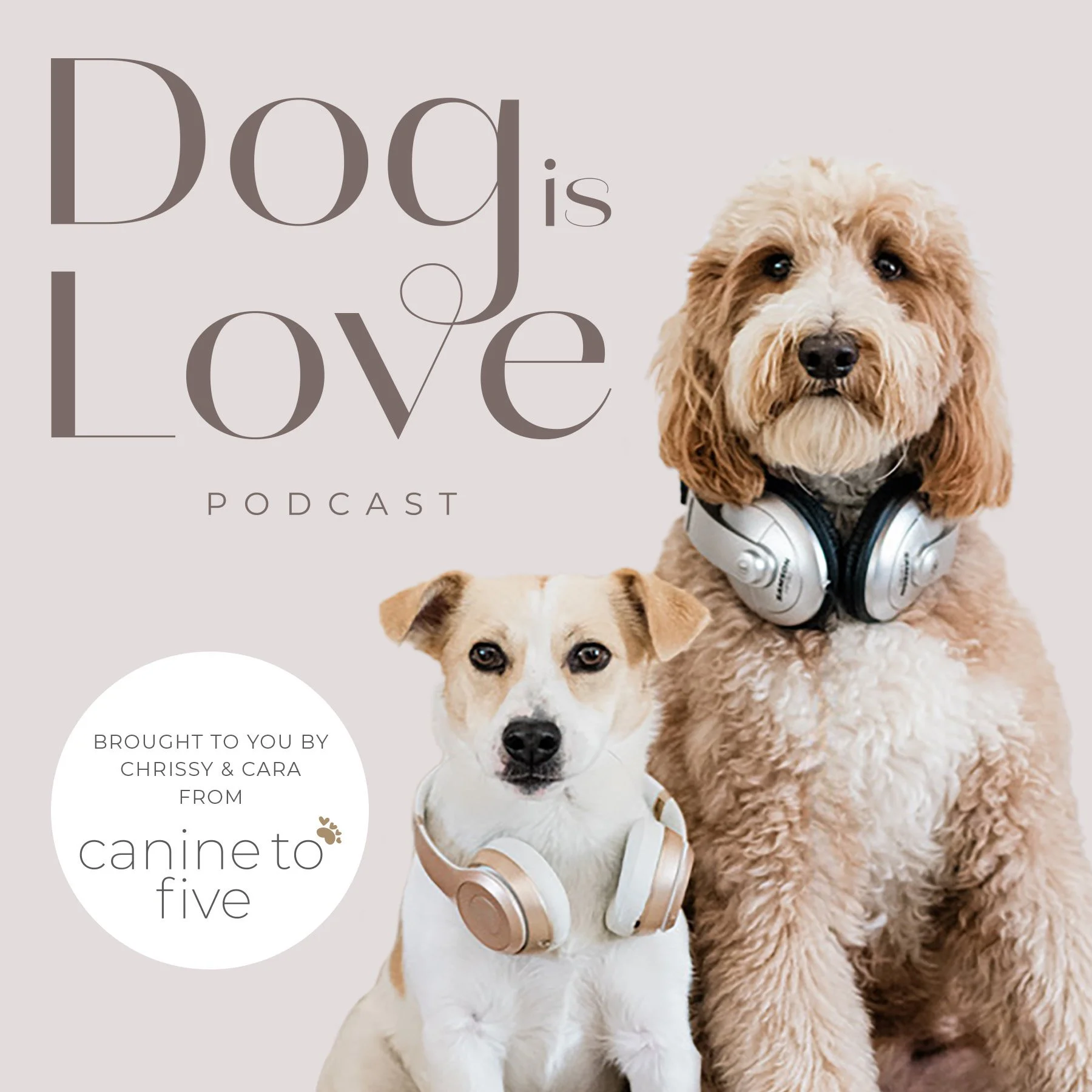 Olivia the Facility Dog: Bringing Love and Healing to Children in Need at GBMC