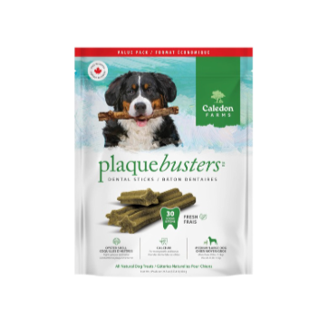 Plaque Busters