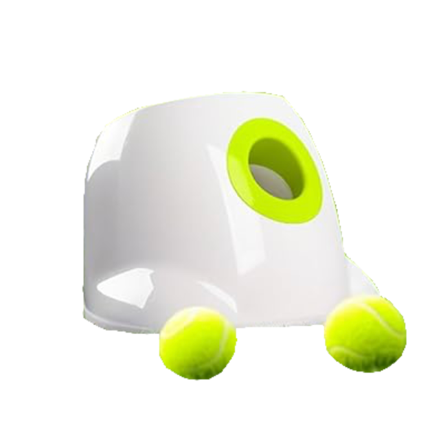 Automatic Dog Bowl Launcher
