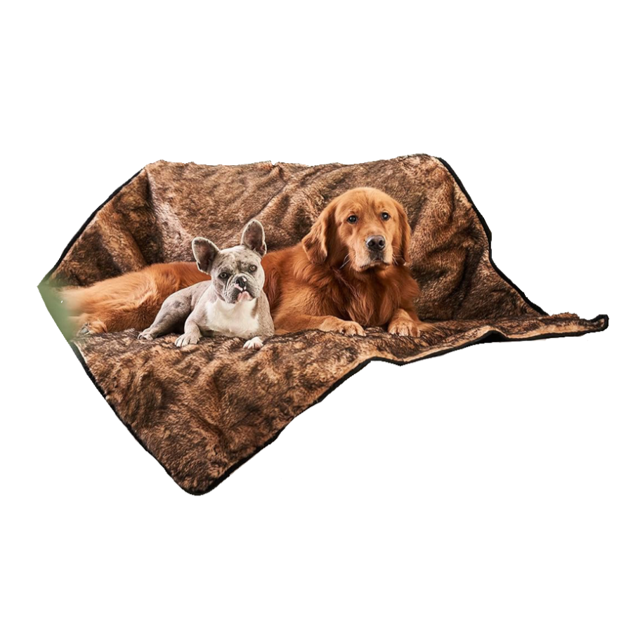 Couch Blanket