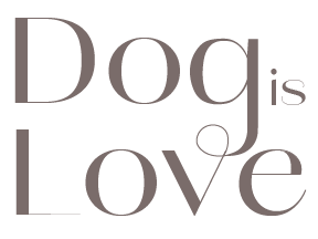 Text saying 'Dog is Love' with stylized typography