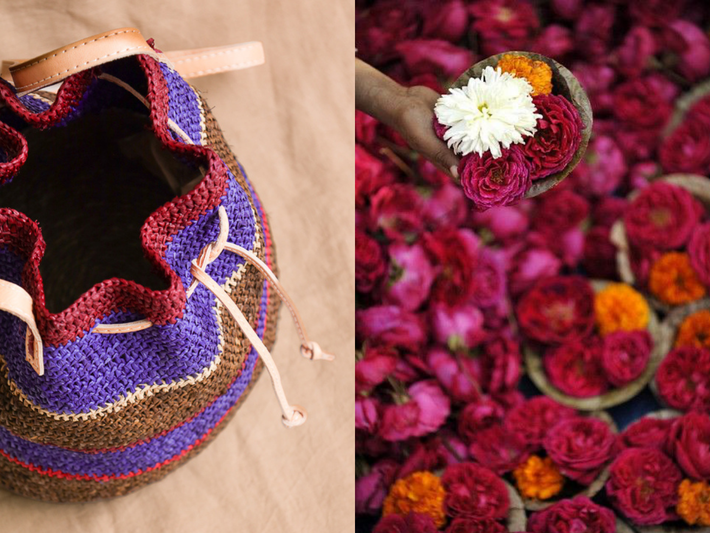 Sambia web 2026-8.png