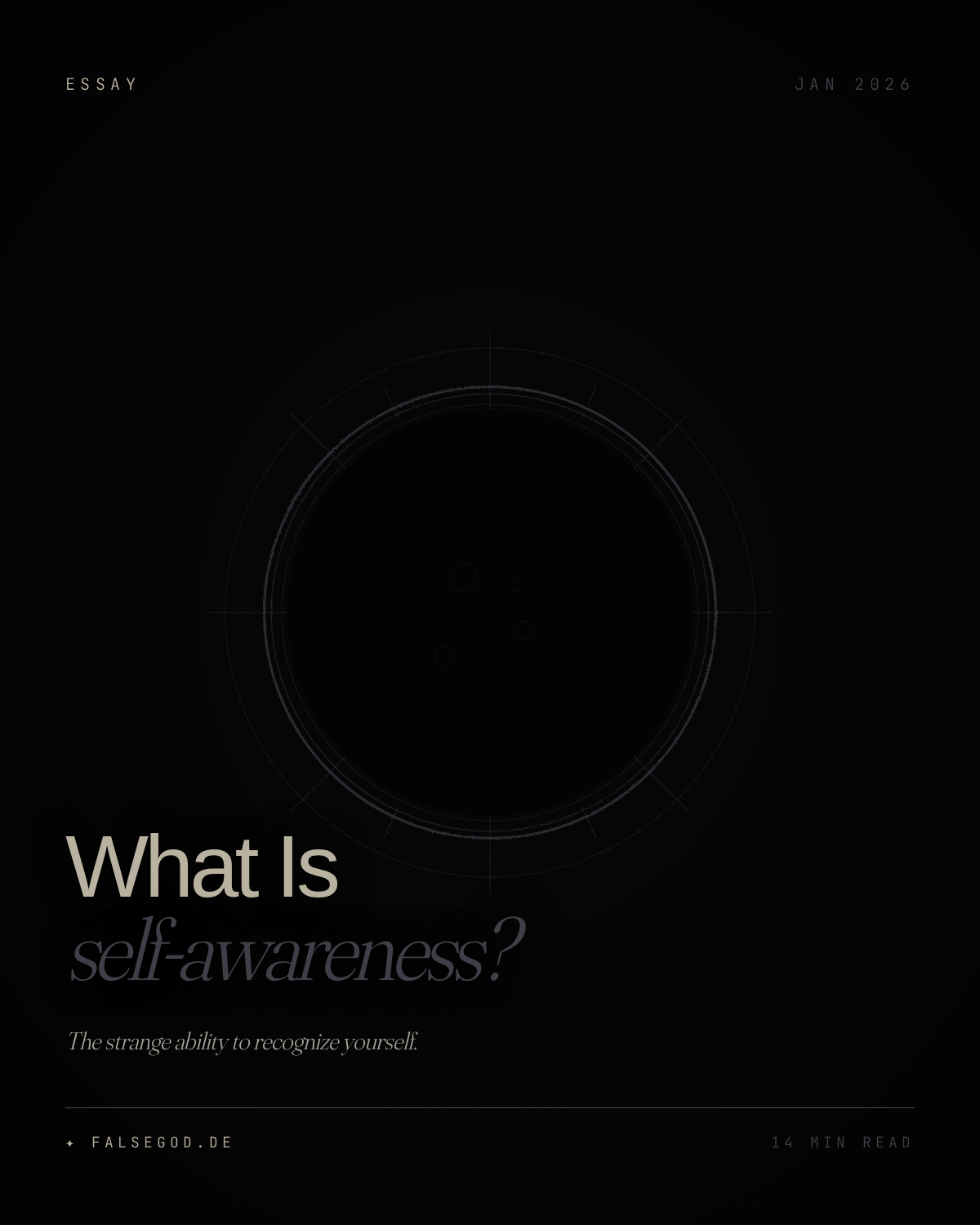 What Is Self-Awareness? The Strange Ability to Recognize Yourself