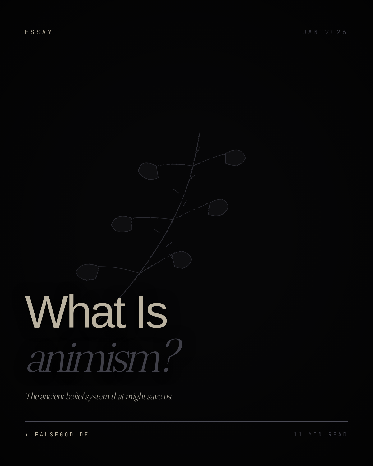 What Is Animism? The Ancient Belief System That Might Save Us