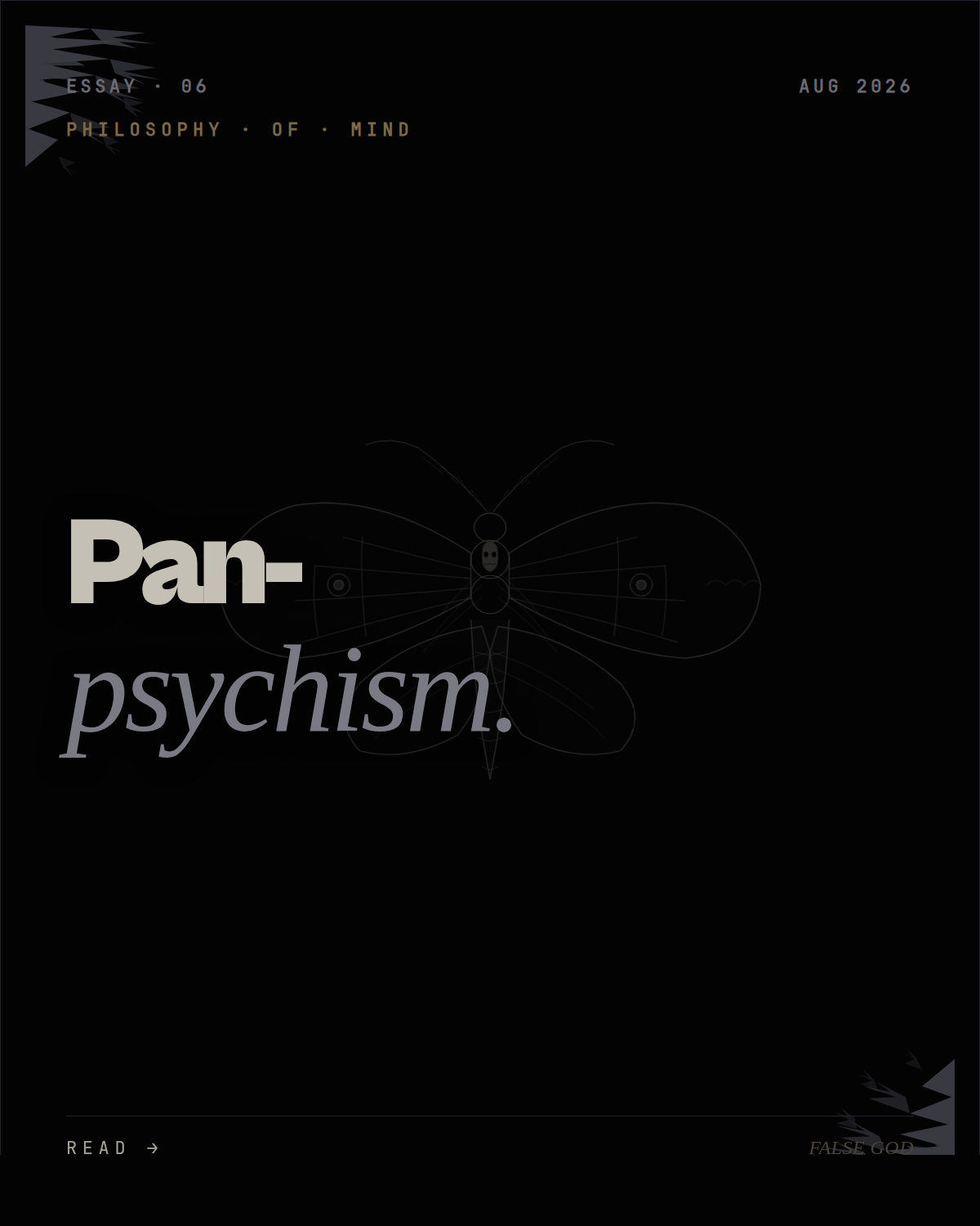 Panpsychism is making a comeback, and here is why