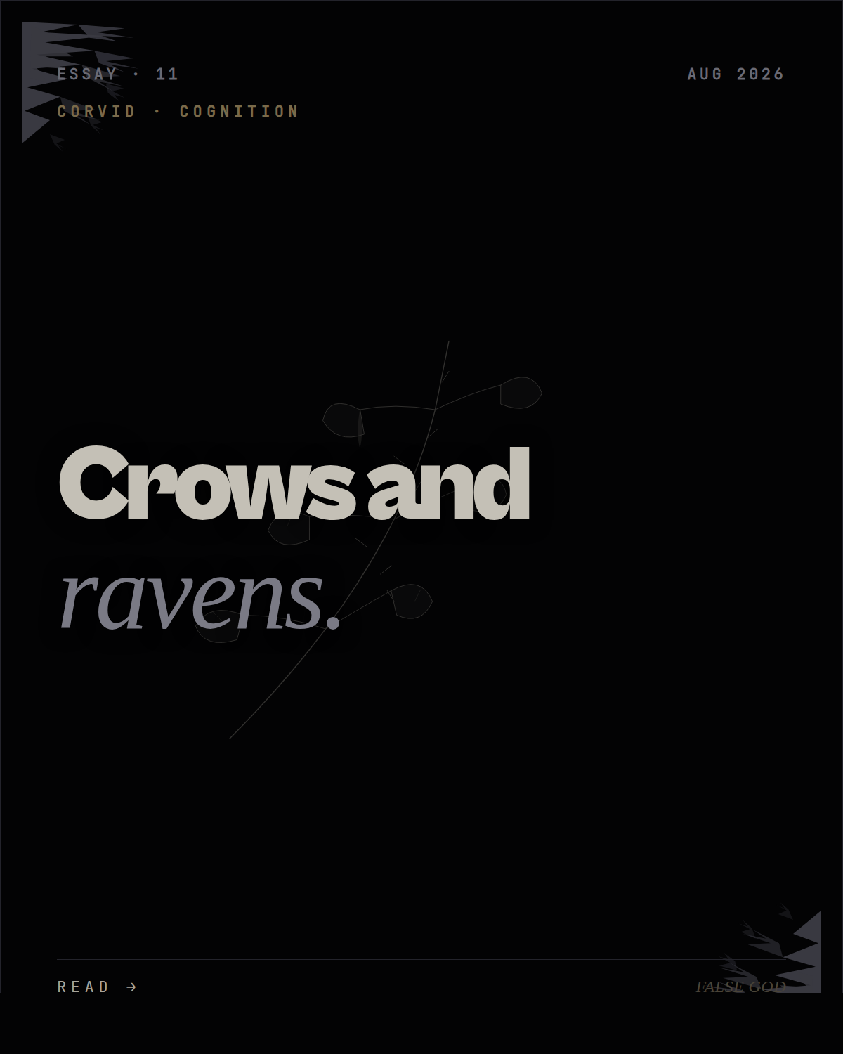 Crows, ravens, and the intelligence we underestimated