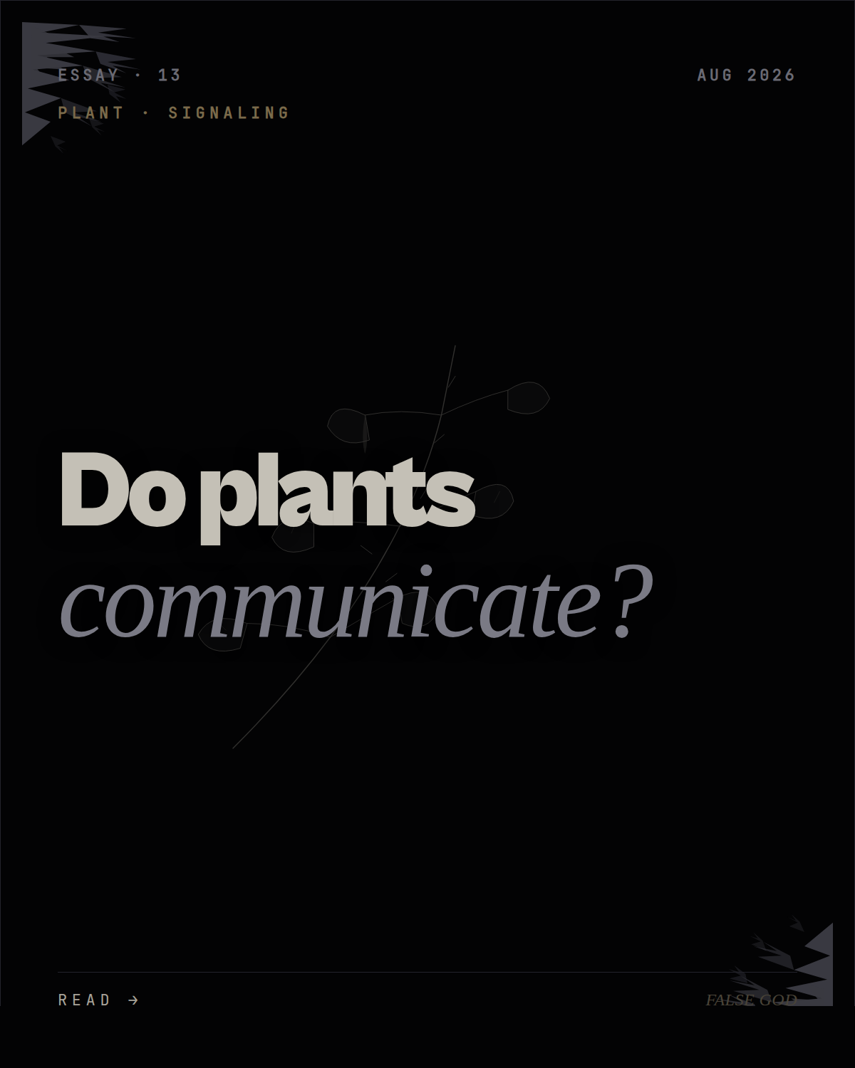 Do plants communicate? What the science actually shows
