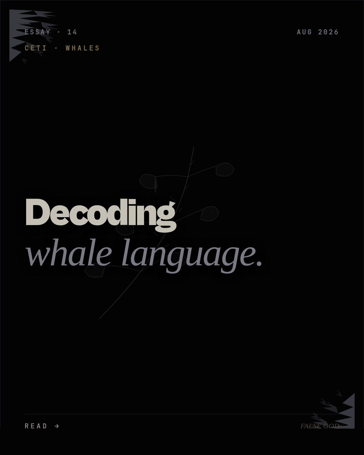 Decoding whale language, and what it will mean for AI