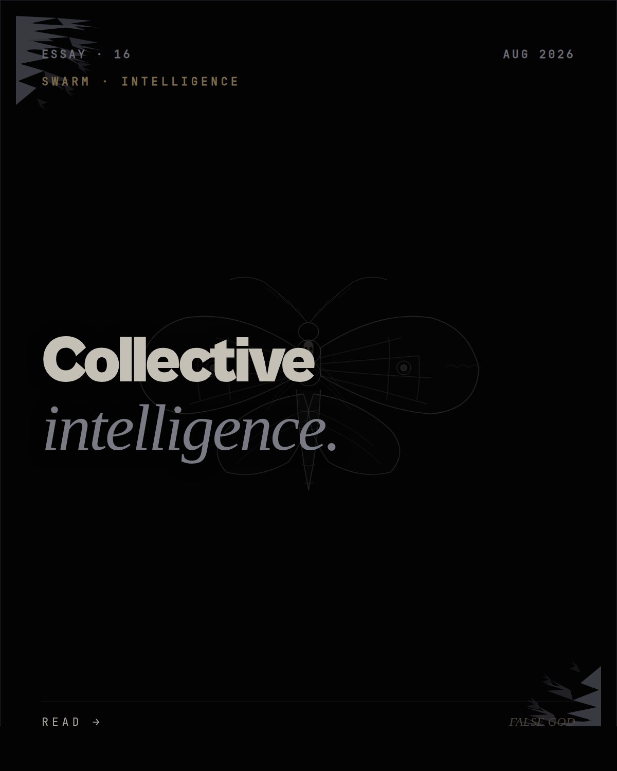 Ant colonies, bee swarms, and the case for collective intelligence