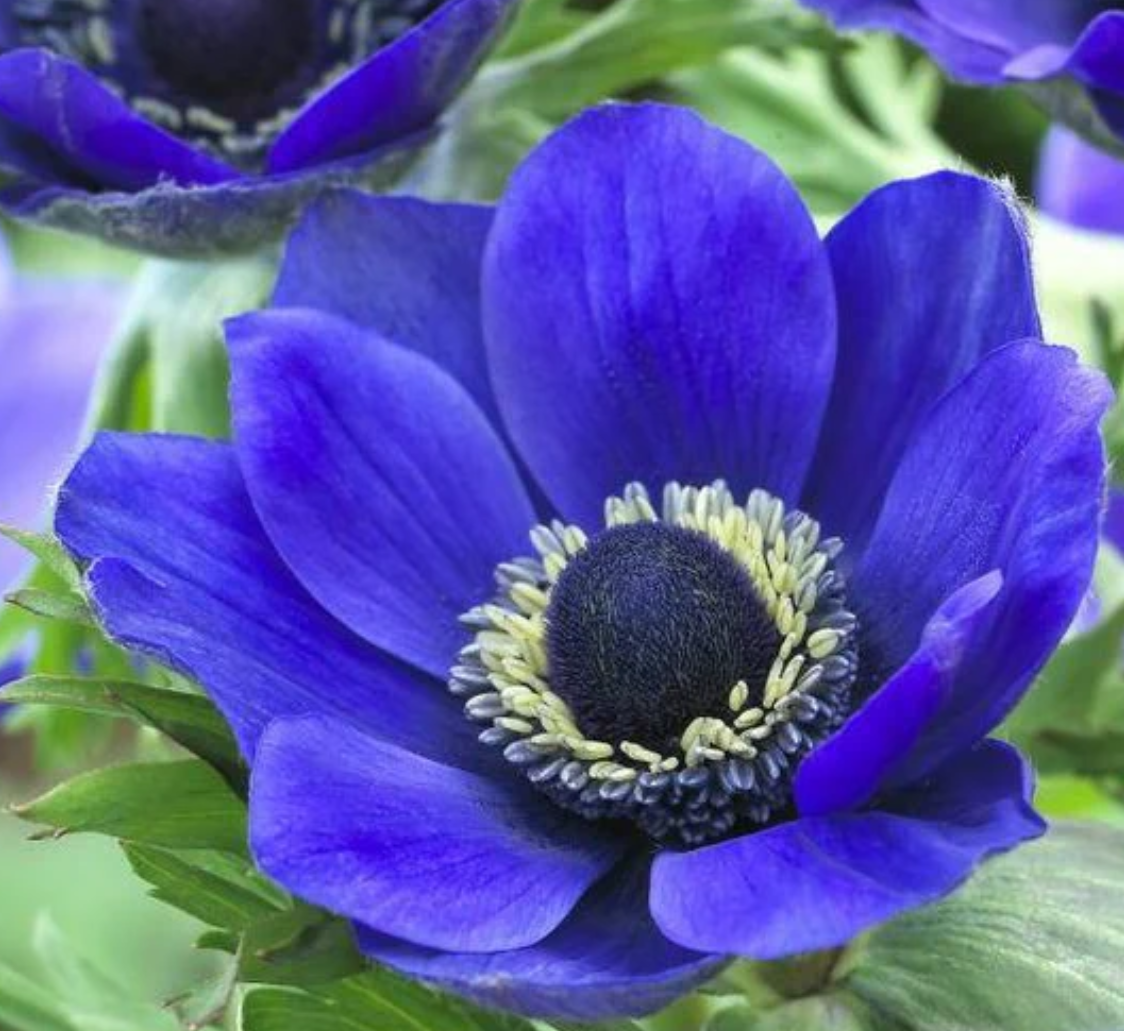 Screenshot 2026-03-02 203234.png