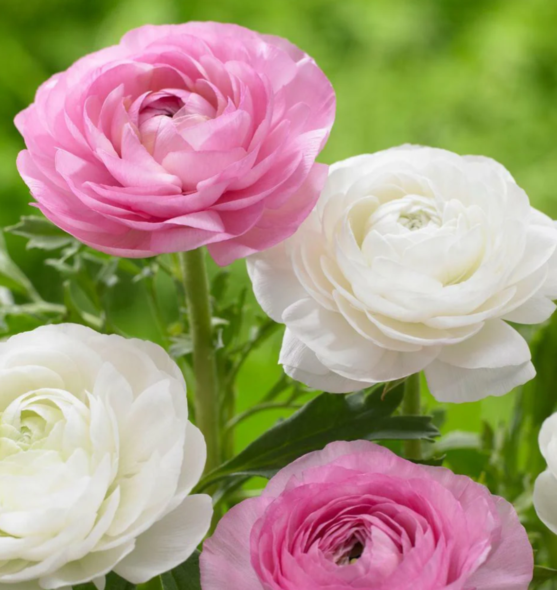 Screenshot 2026-03-02 203055.png