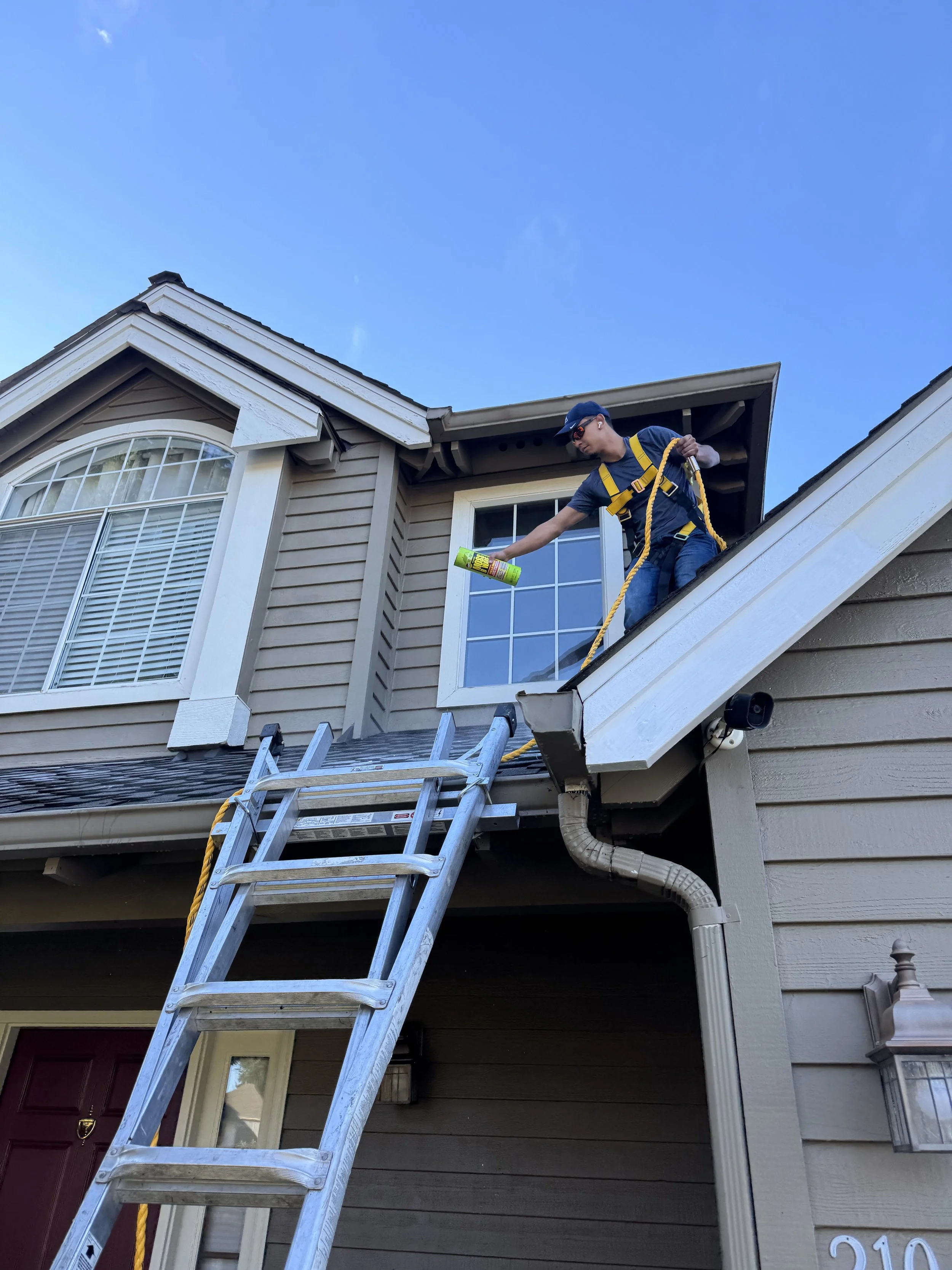 Roof Cleaning- Kent