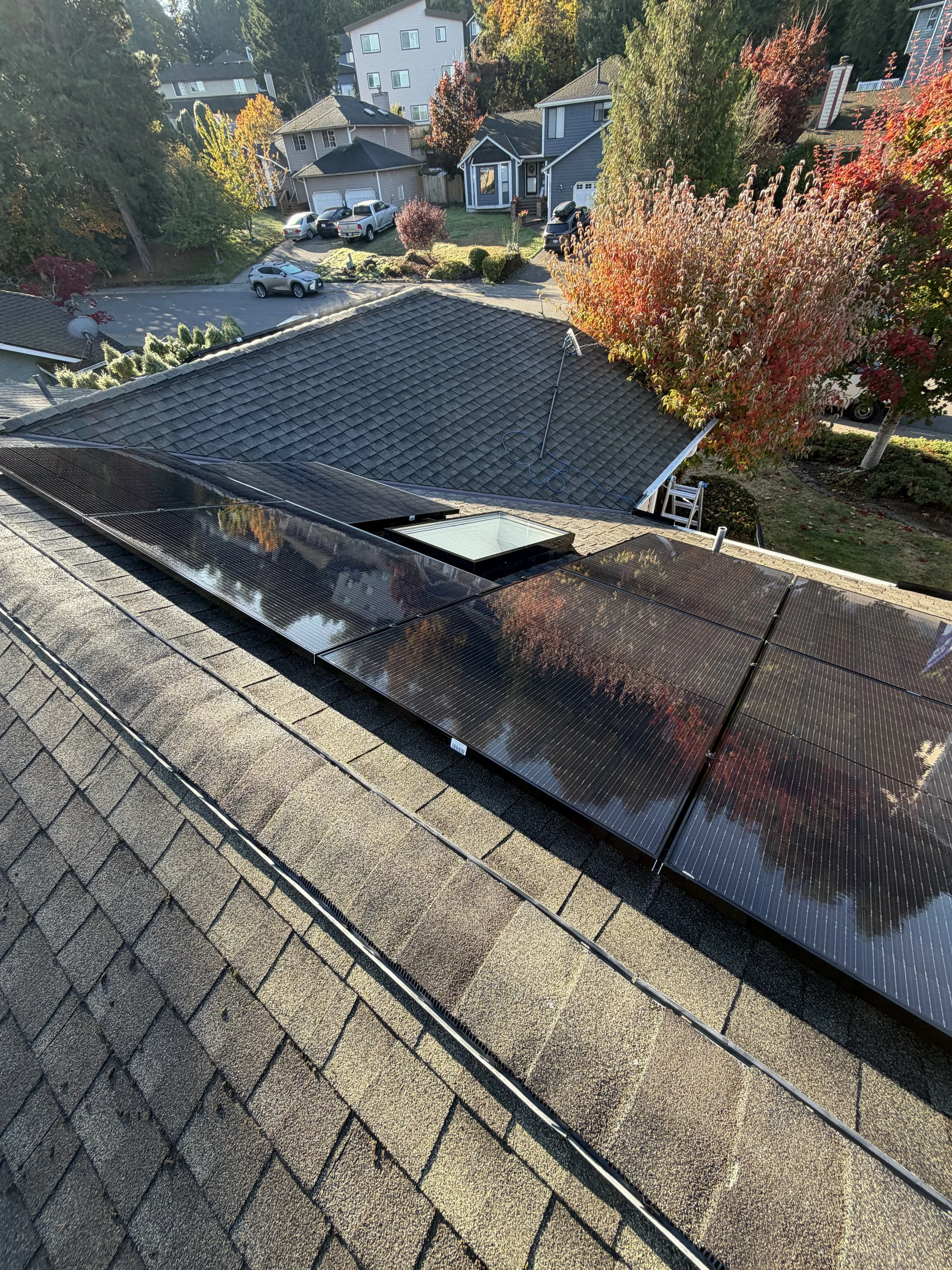 Solar Panel Cleaning- Renton