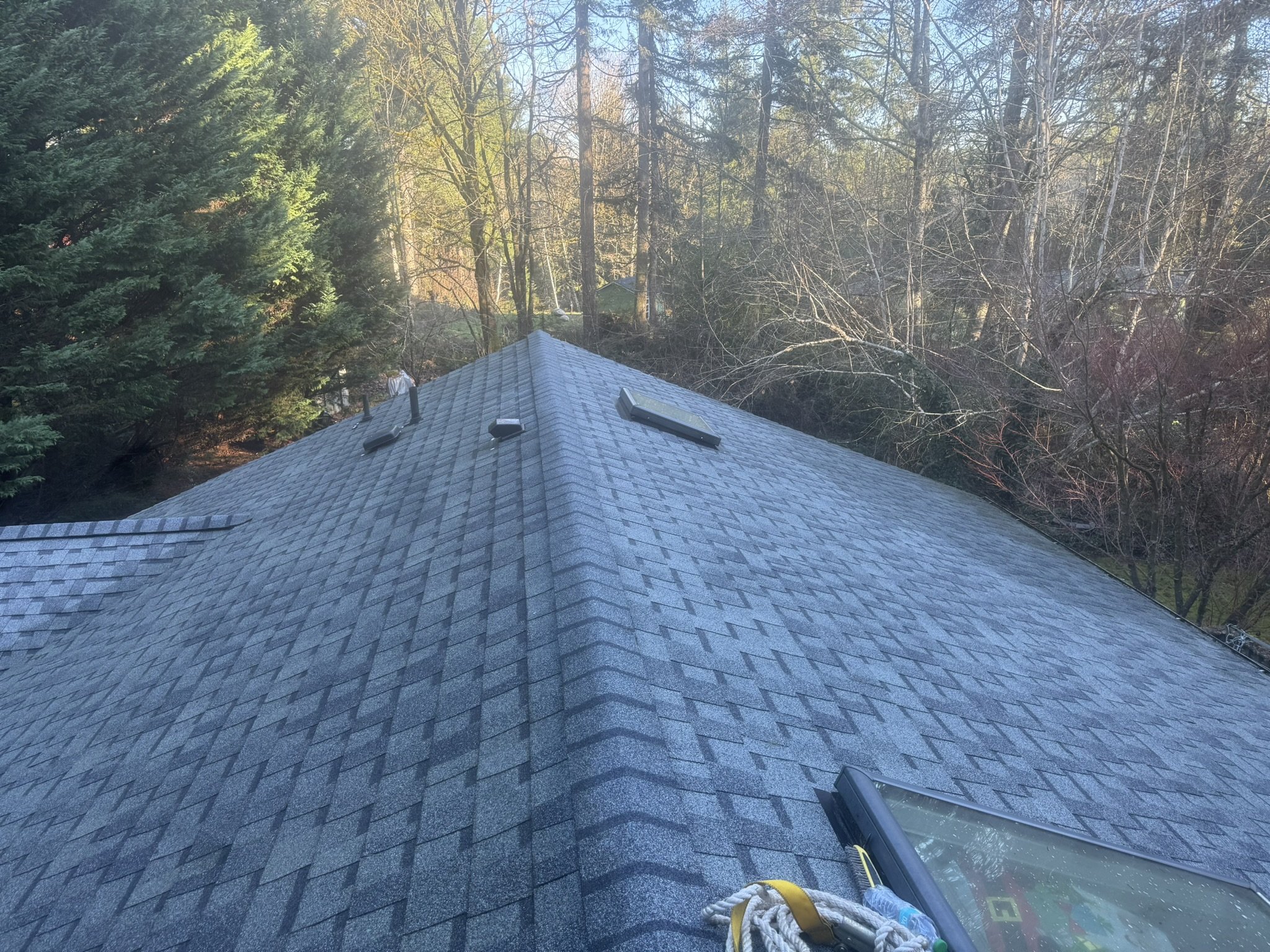 View from a rooftop showing asphalt shingles, a slope with trees and forest in the background, equipment and a ladder on the roof.