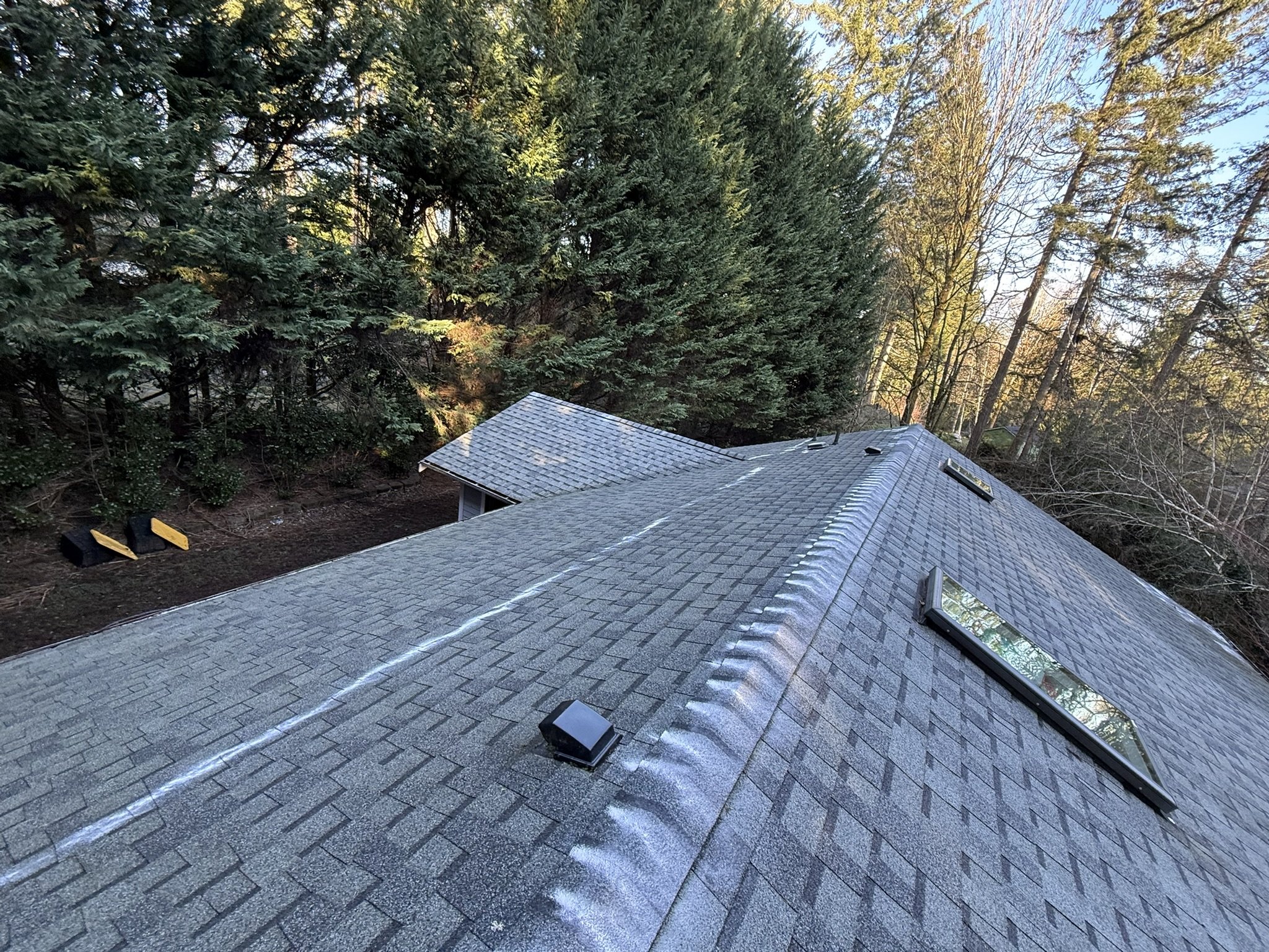 A house roof with asphalt shingles, two roof skylights, and two black vent pipes, surrounded by tall green trees in a wooded area.