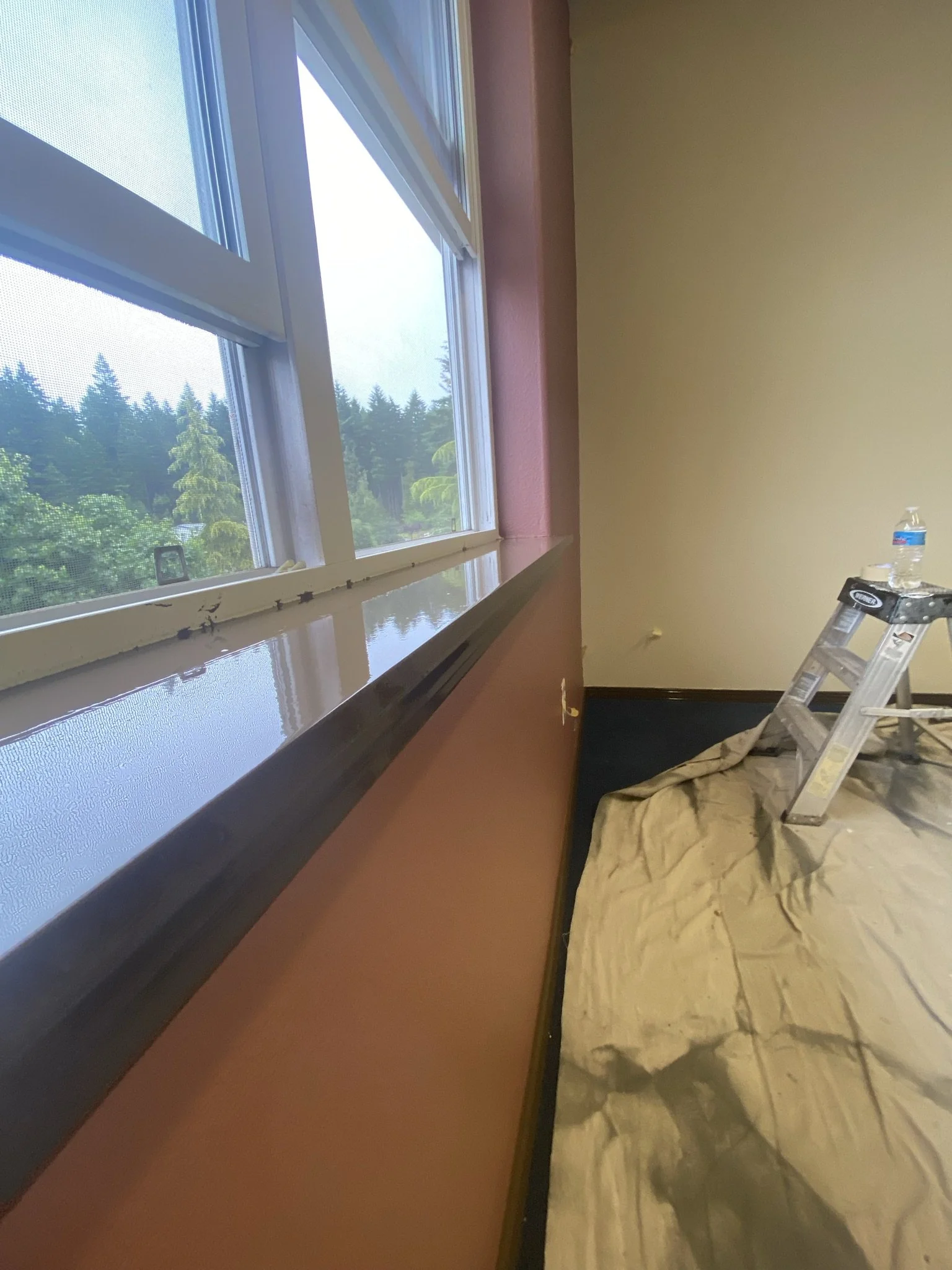 Room with a window looking out at trees, a ladder, a water bottle, and a tarp on the floor.