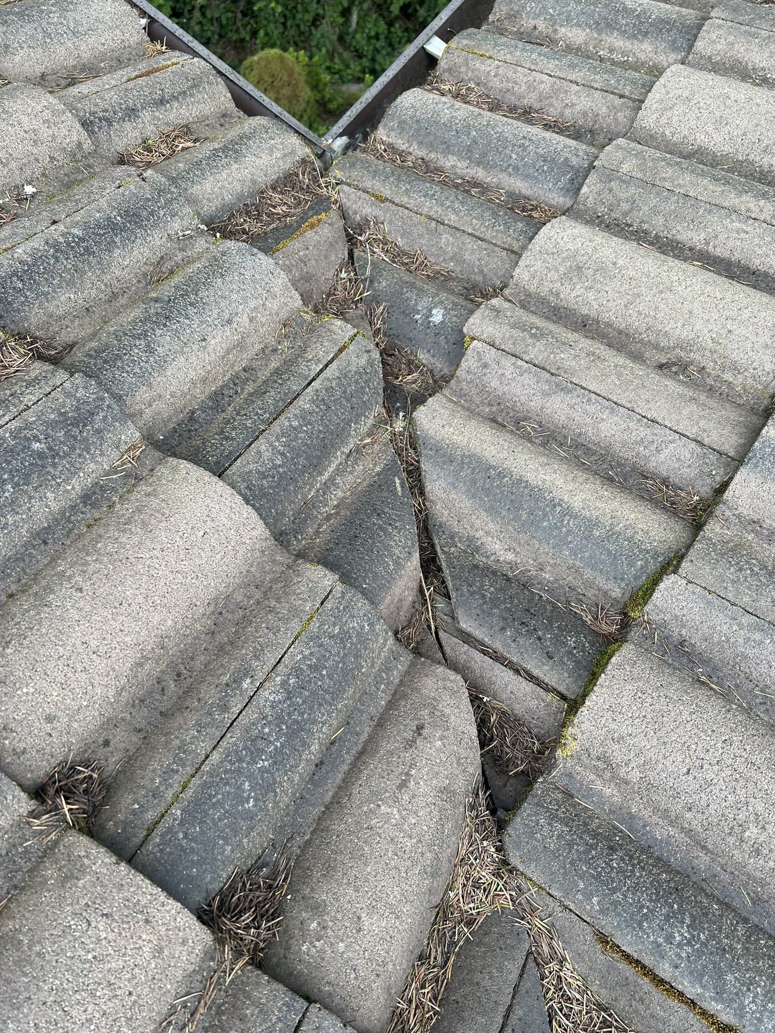 Close-up of a roof with old, worn gray tiles, some of which are cracked and have weeds and moss growing between them.