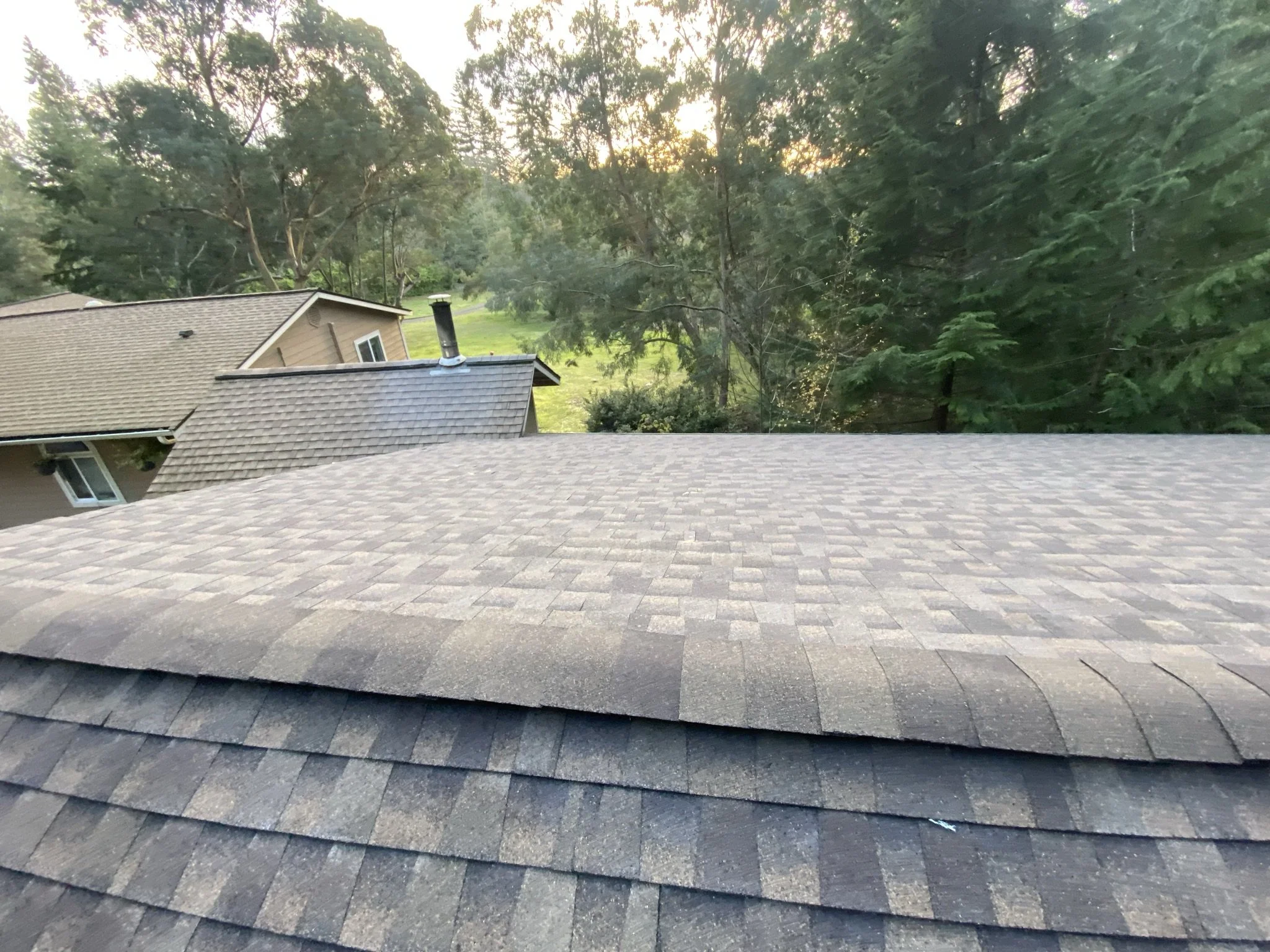 A view from a rooftop showing shingled roofs of nearby houses, with trees and a green landscape in the background during sunset.