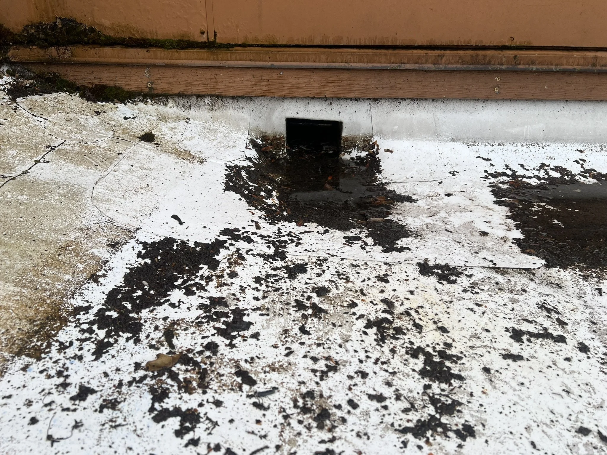 Black water from debris build up onto a white membrane roof , causing water damage and dirt.