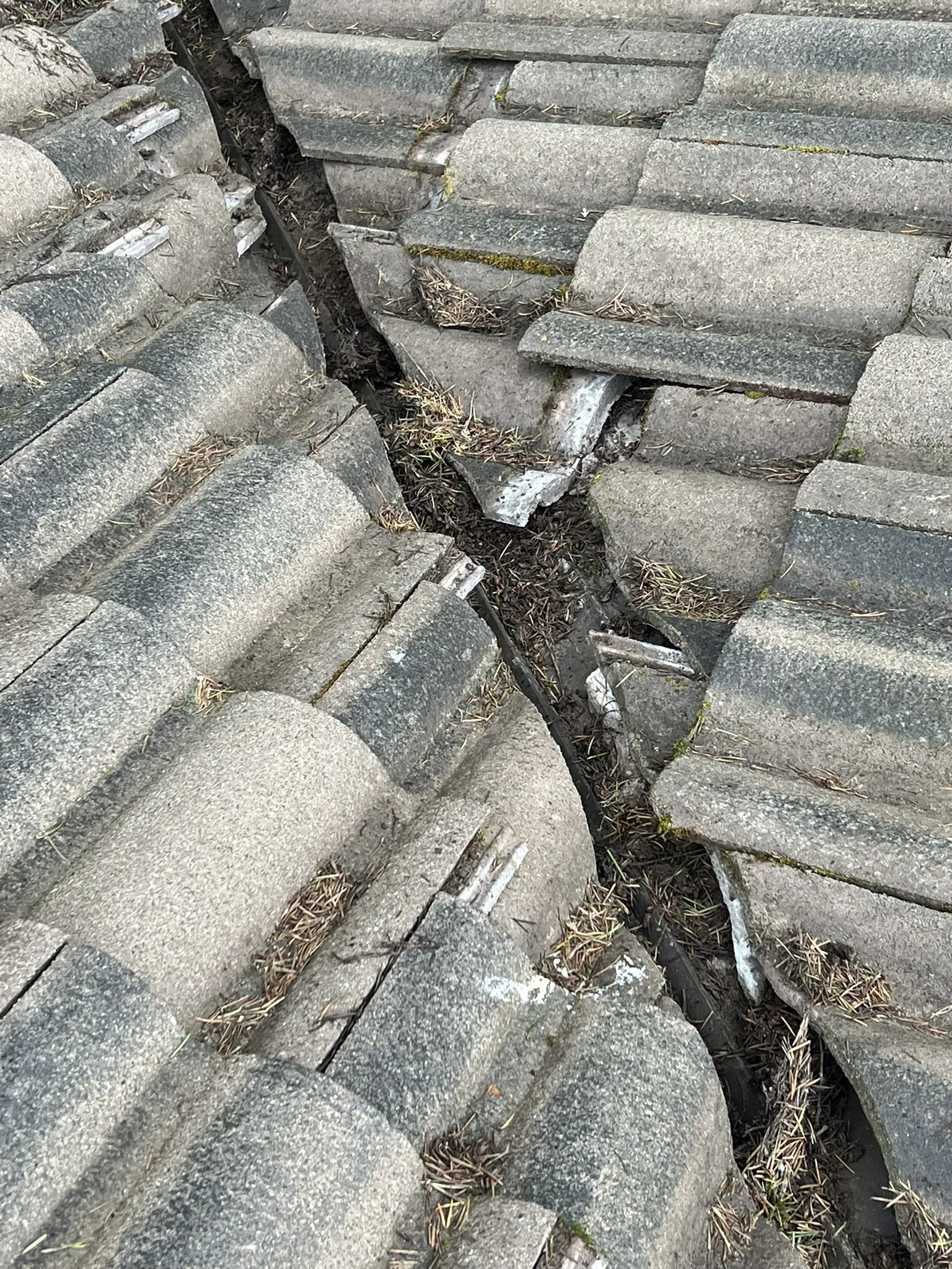Damaged roof tiles with a large crack and missing pieces, with dirt and fallen pine needles between the tiles.